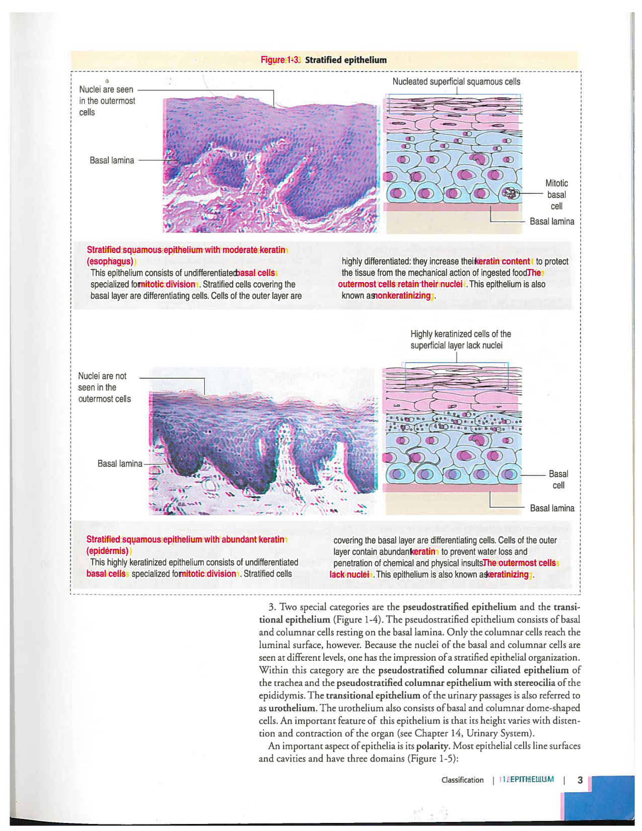 Kierszenbaum ed-4 p1-7-TE-examples page 3