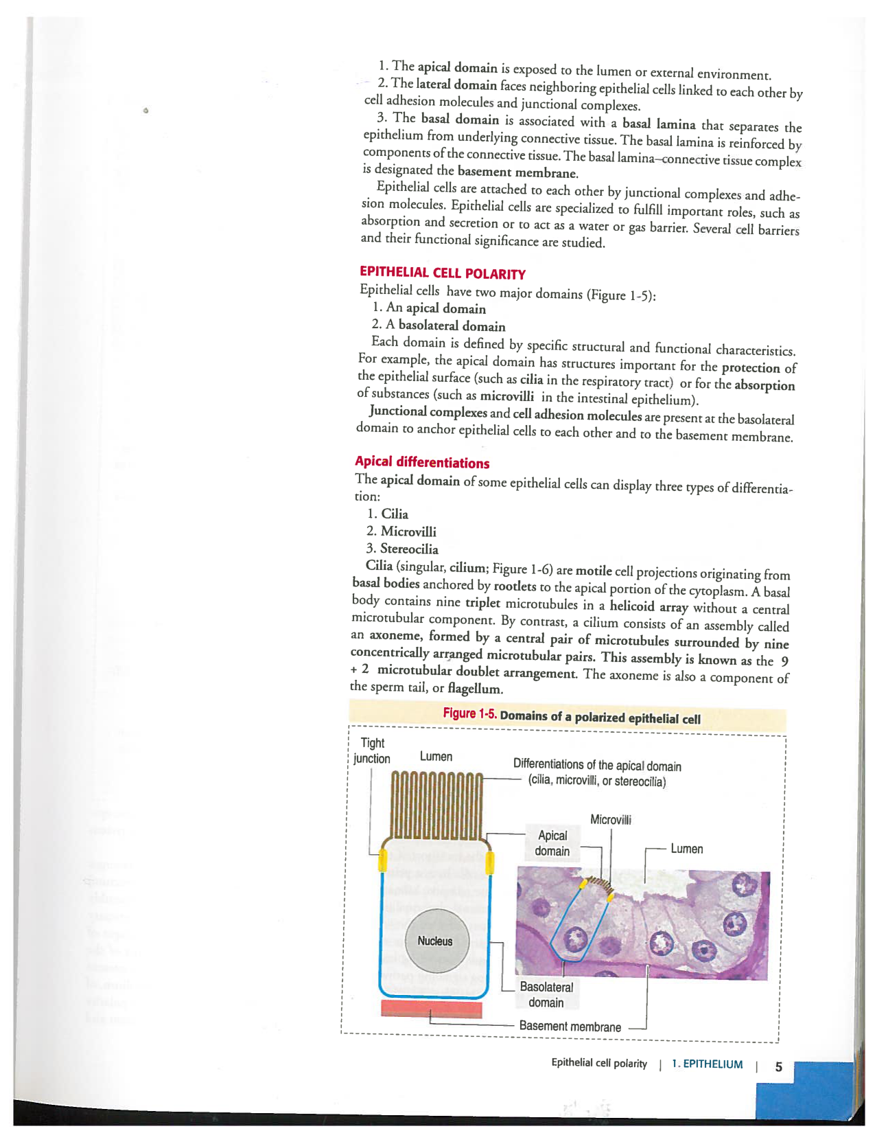 Kierszenbaum ed-4 p1-7-TE-examples page 5