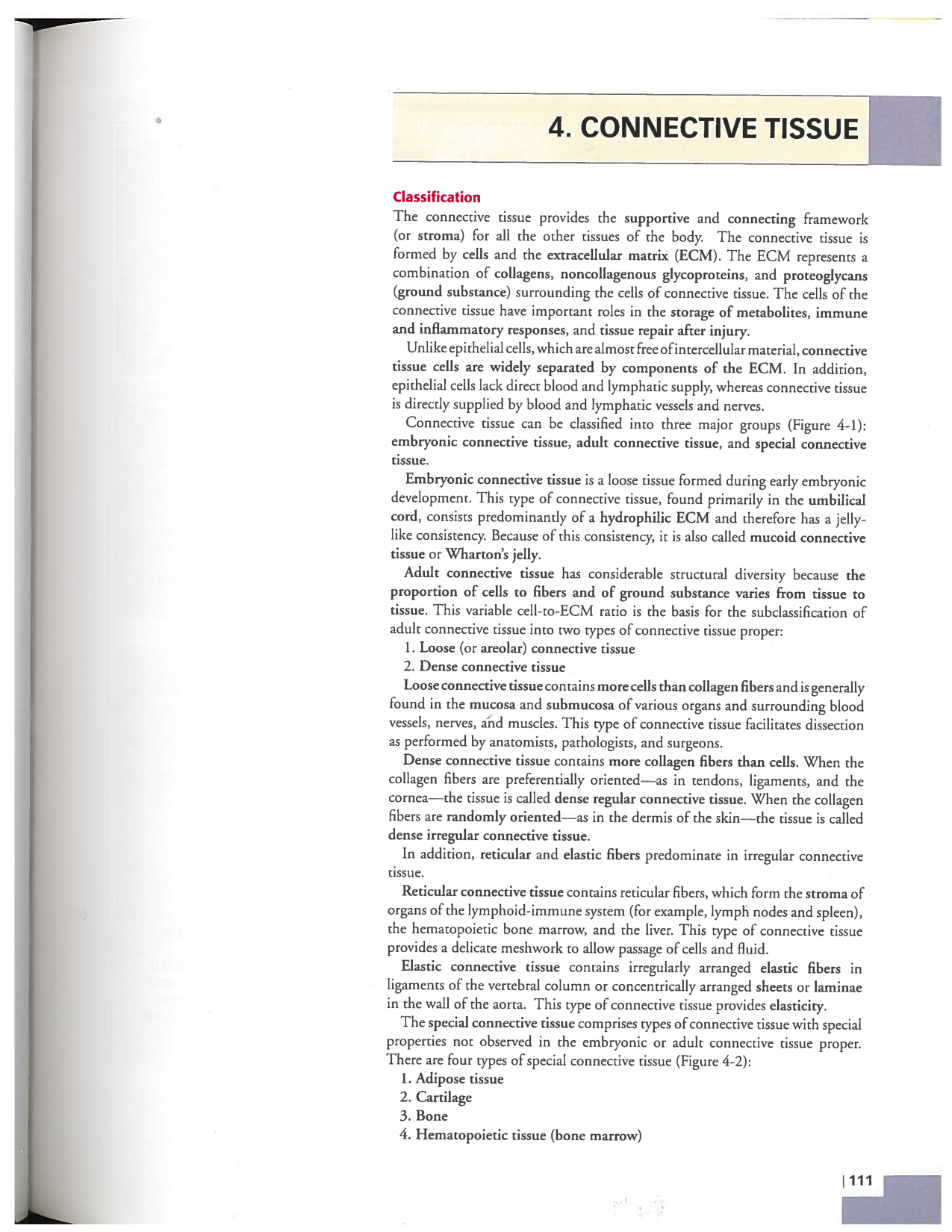 Kierszenbaum ed-4 p111-146-TC-examples et pathologies page 1