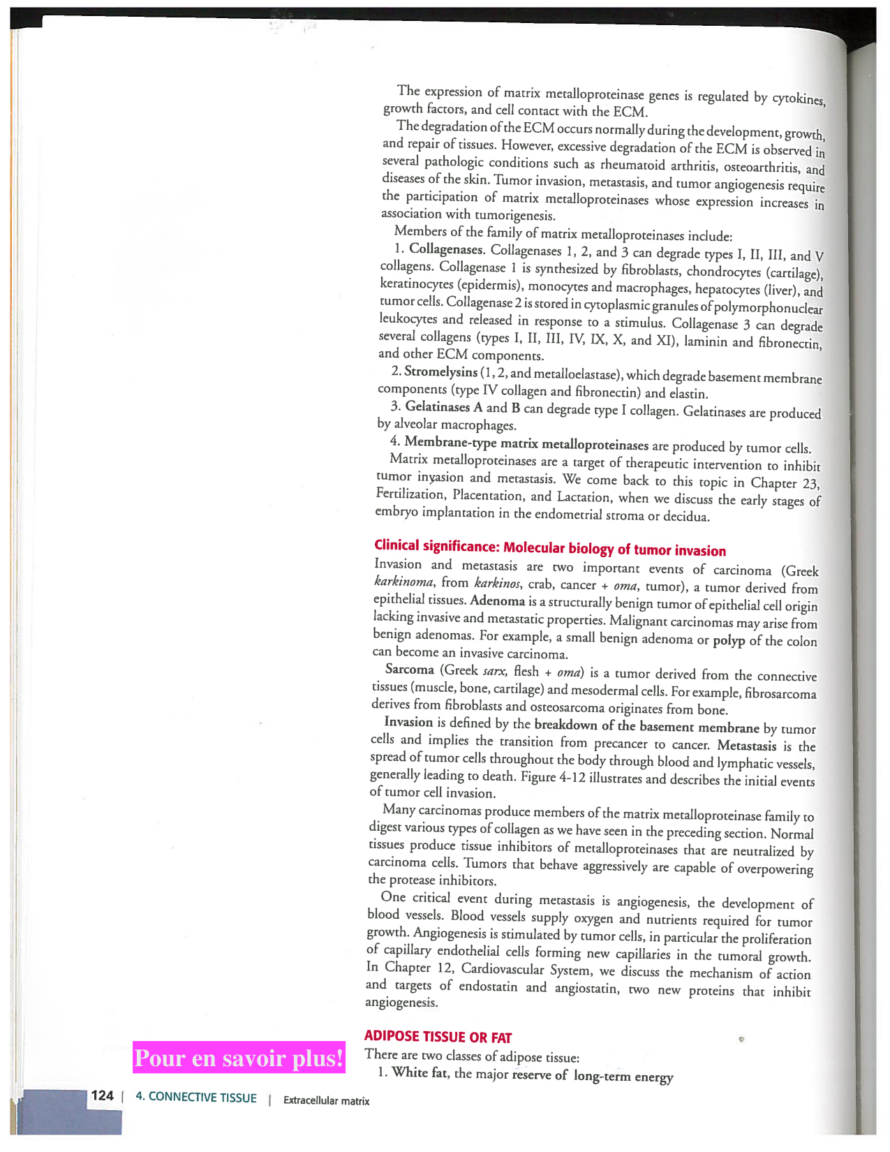 Kierszenbaum ed-4 p111-146-TC-examples et pathologies page 14