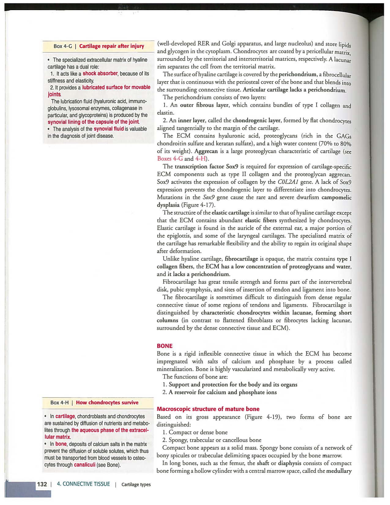 Kierszenbaum ed-4 p111-146-TC-examples et pathologies page 22