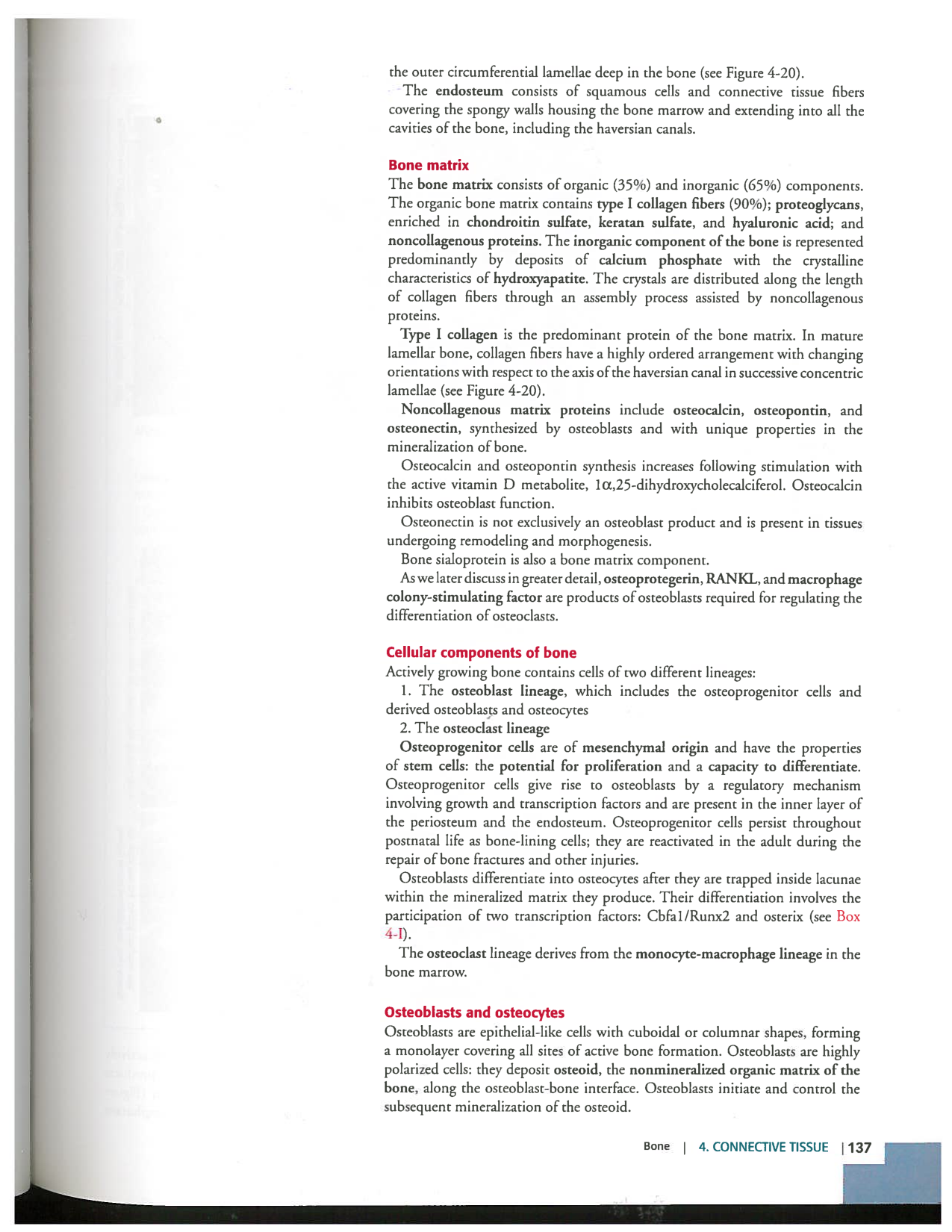 Kierszenbaum ed-4 p111-146-TC-examples et pathologies page 27