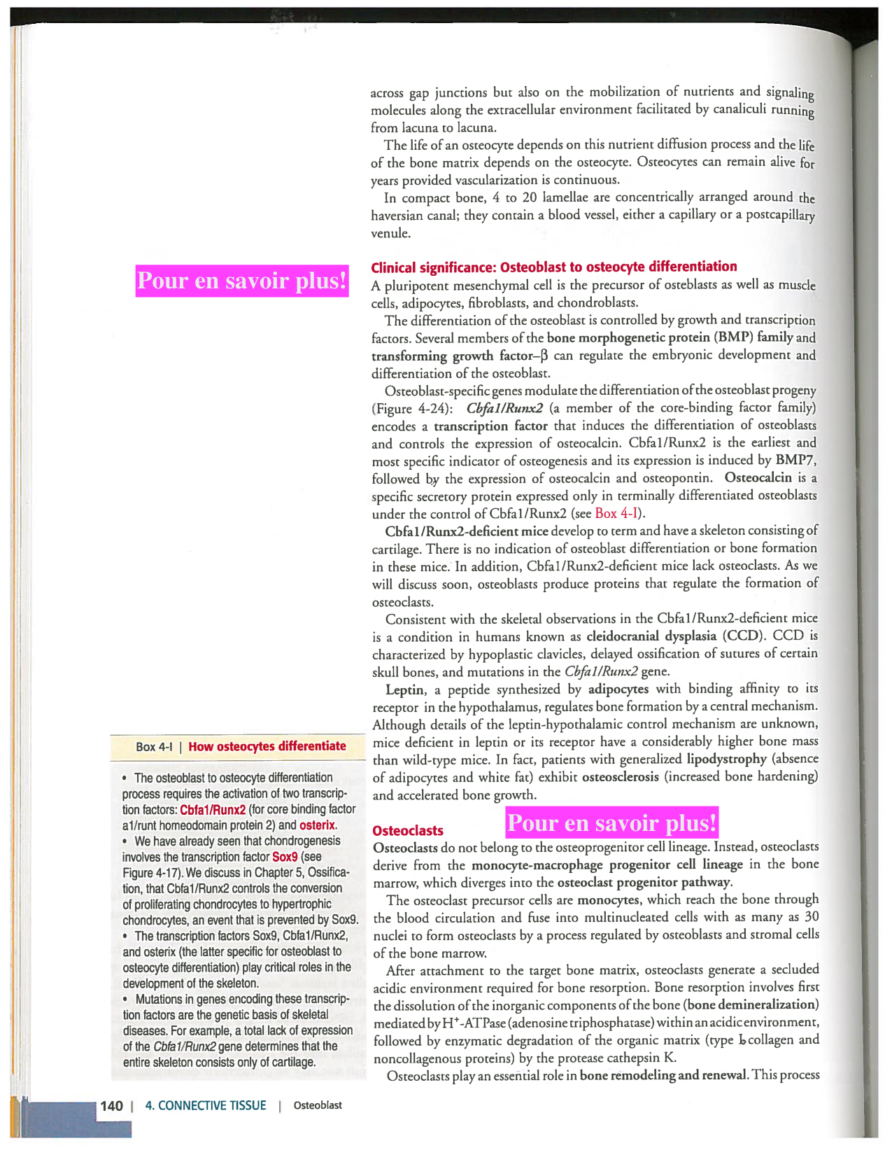 Kierszenbaum ed-4 p111-146-TC-examples et pathologies page 30