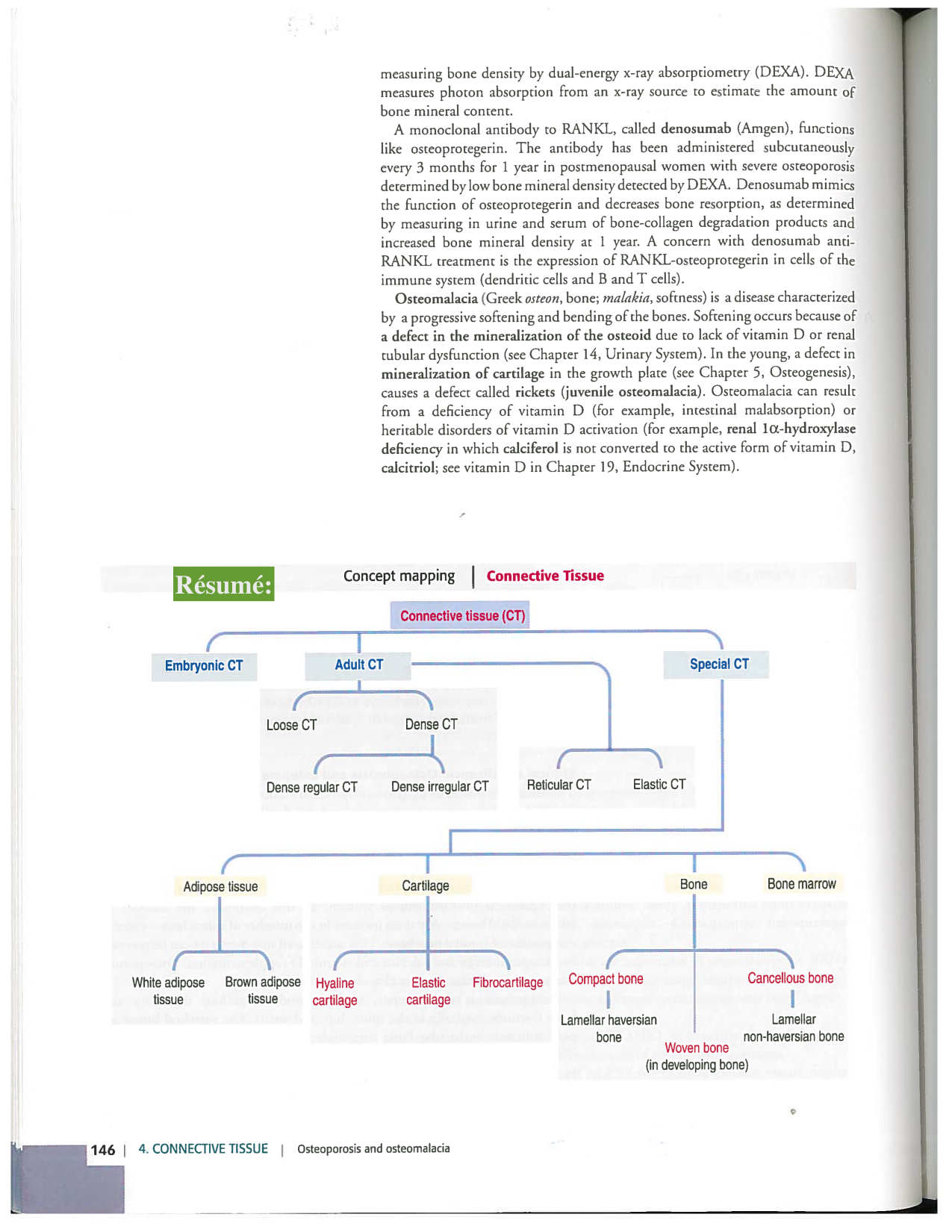 Kierszenbaum ed-4 p111-146-TC-examples et pathologies page 36