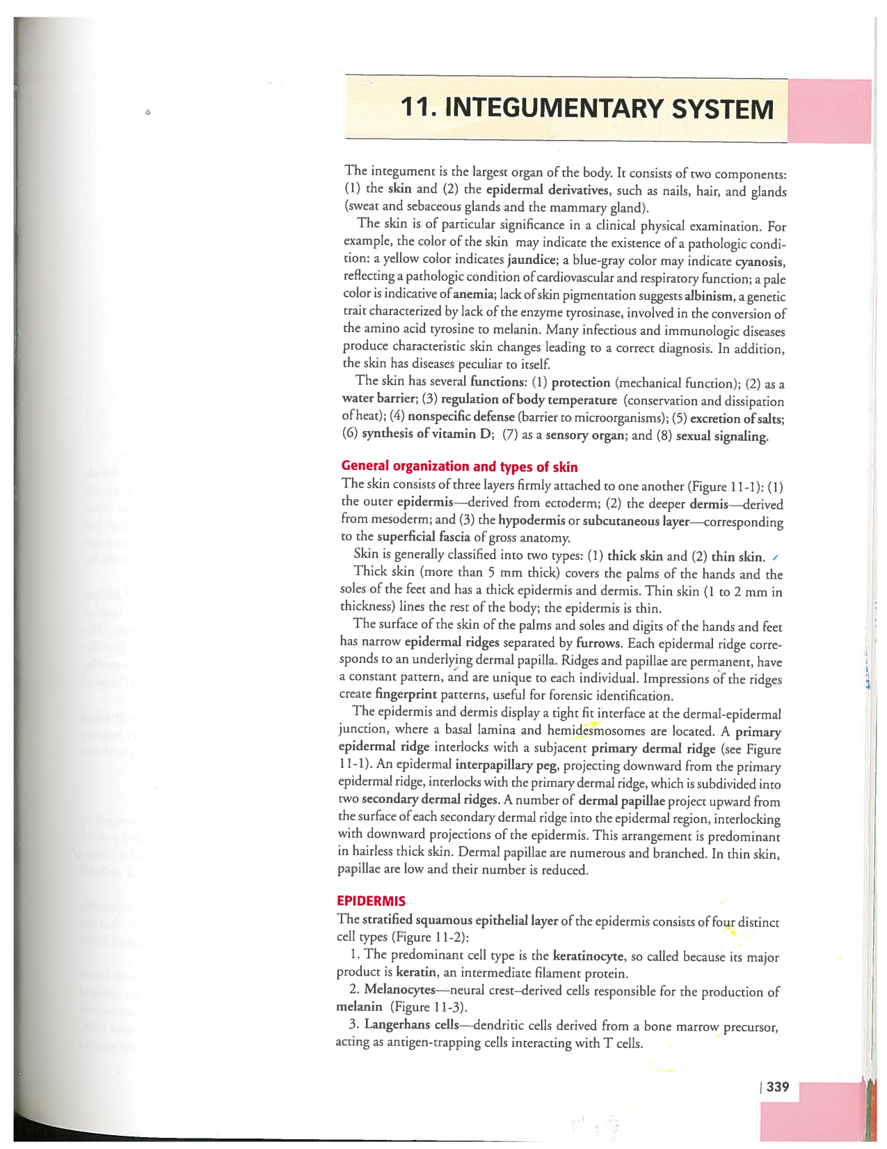 Kierszenbaum ed-4 p339-356-TE la-peau normal et psoriasis page 1