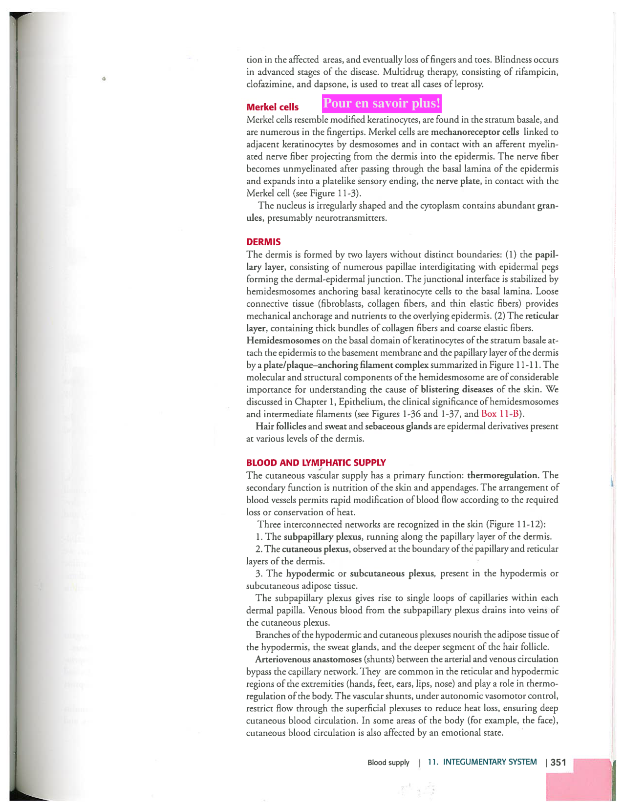 Kierszenbaum ed-4 p339-356-TE la-peau normal et psoriasis page 13