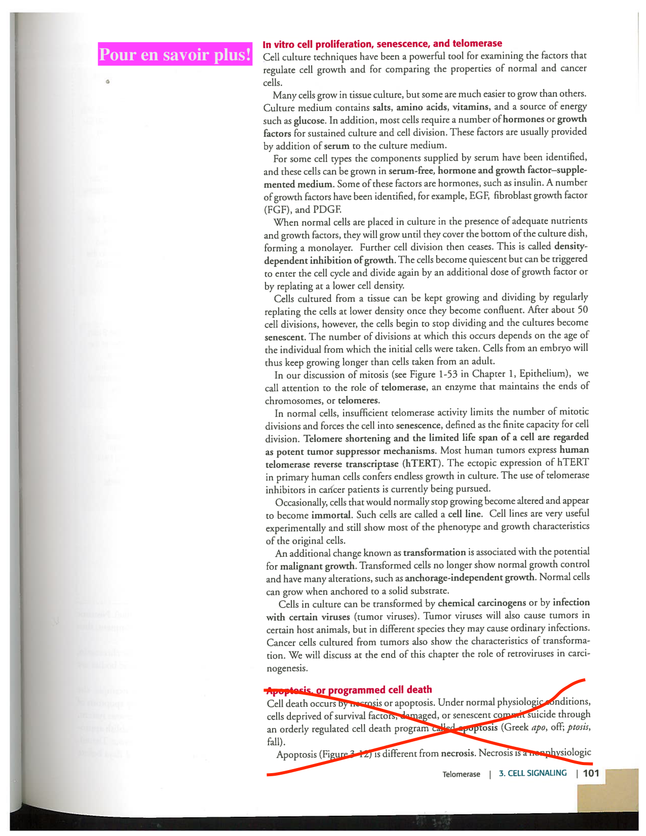 Kierszenbaum ed-4 p99-101-TE cellules-souches page 3