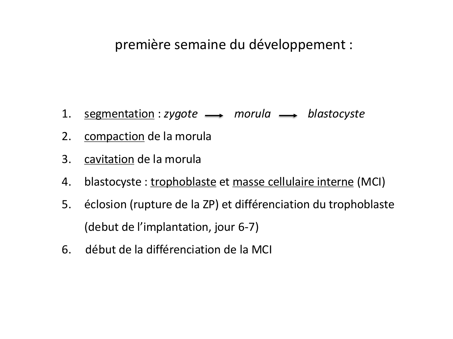 Développement — semaines 1 et 2 page 6