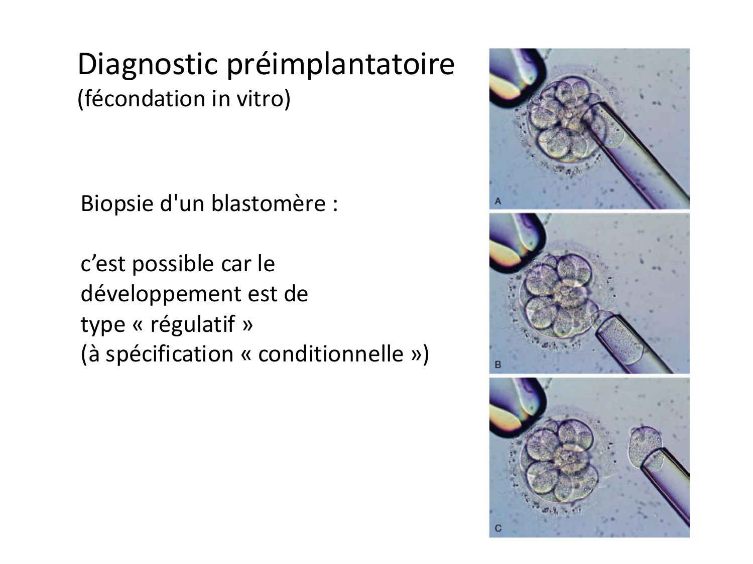 Développement — semaines 1 et 2 page 10