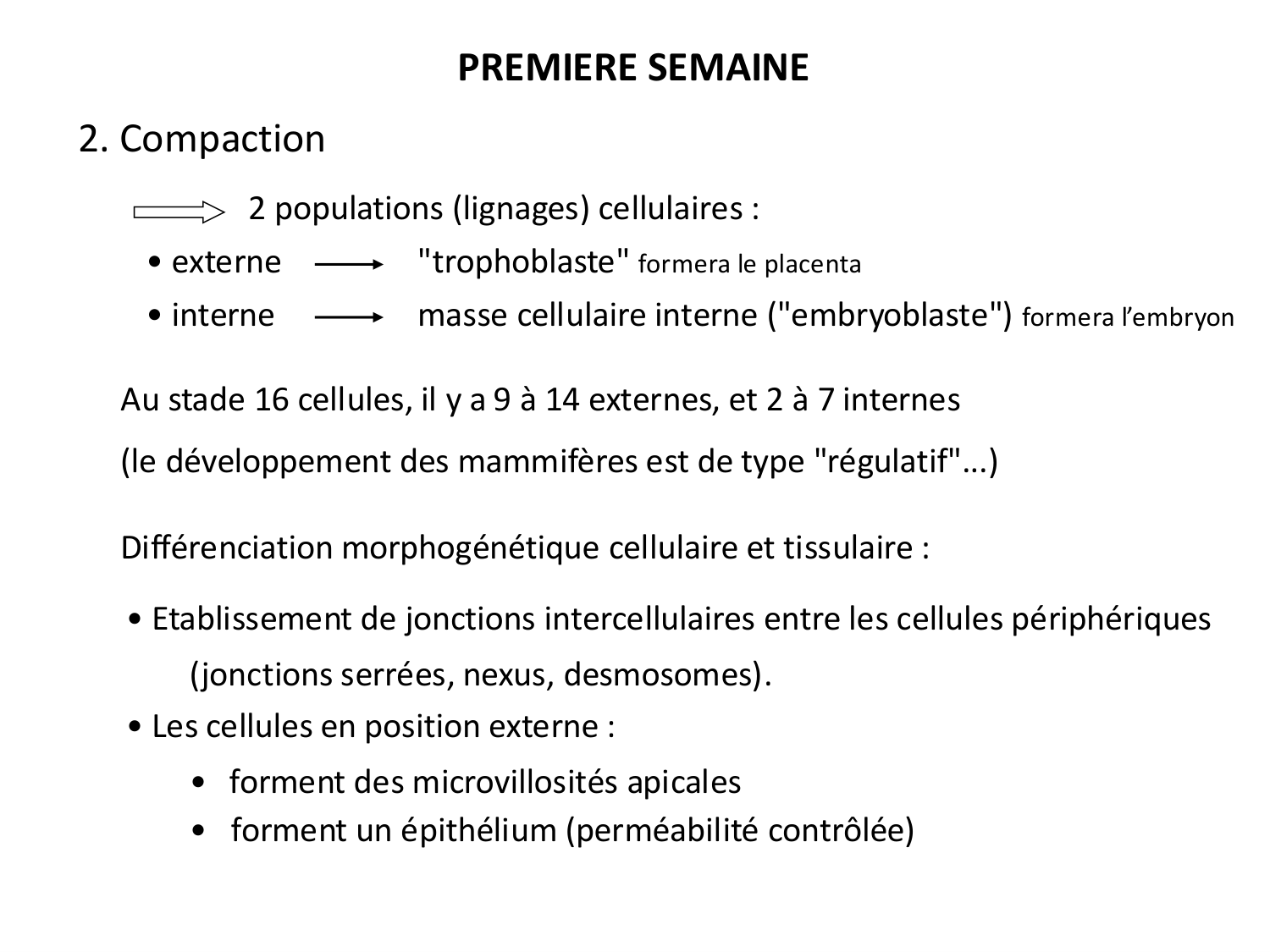 Développement — semaines 1 et 2 page 12