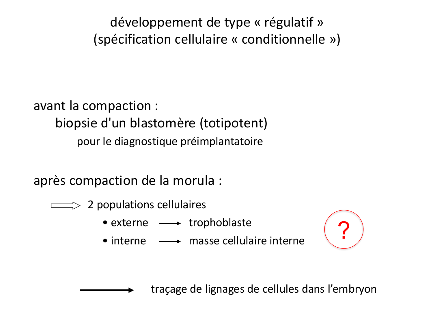 Développement — semaines 1 et 2 page 18