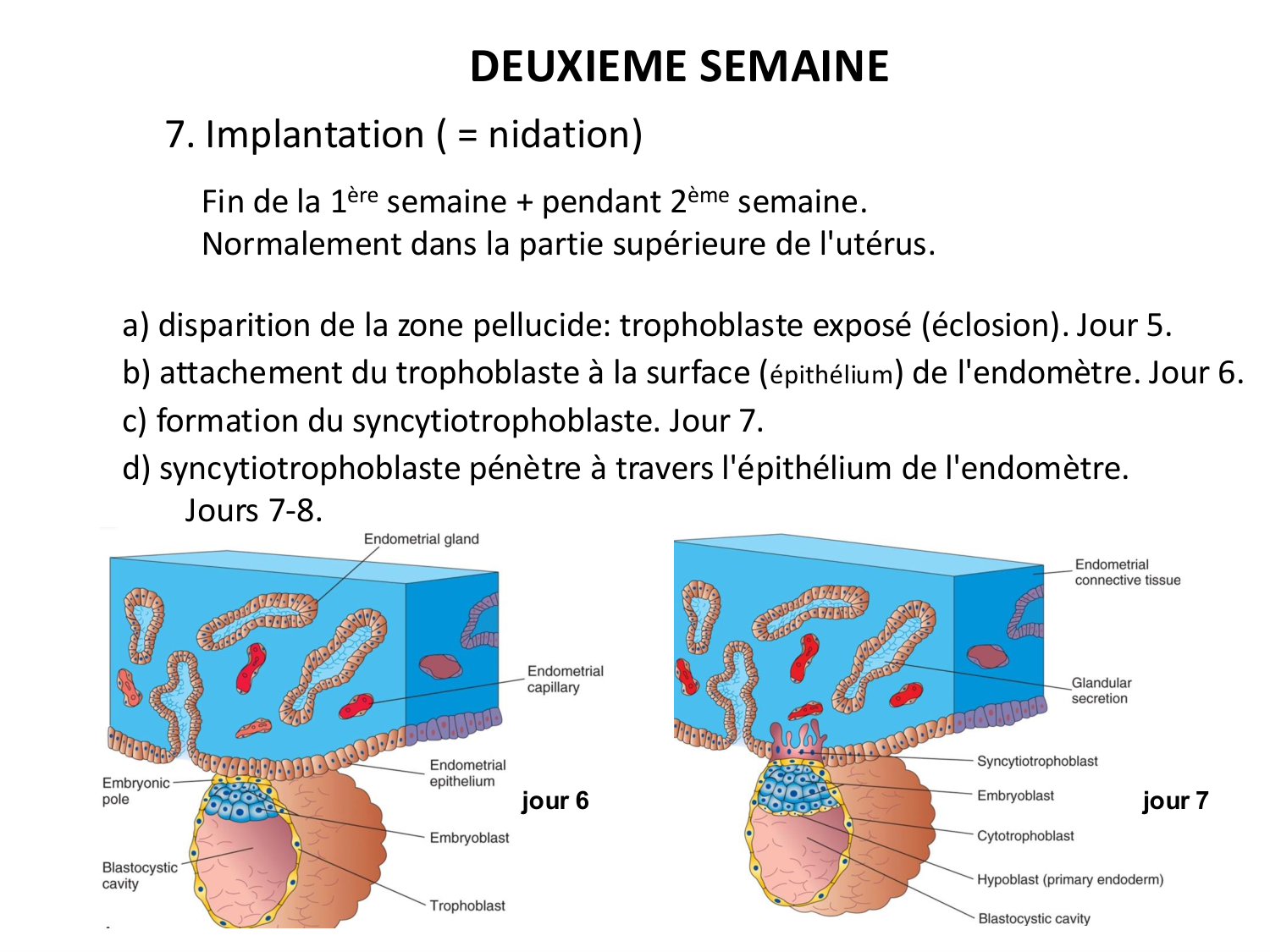 Développement — semaines 1 et 2 page 37