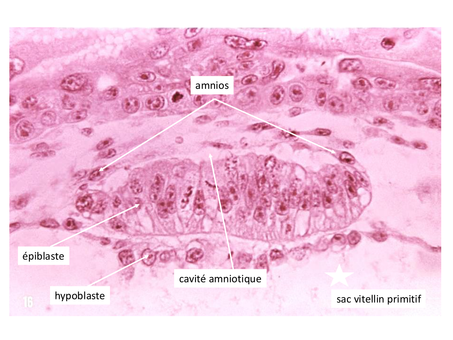 Développement — semaines 1 et 2 page 54