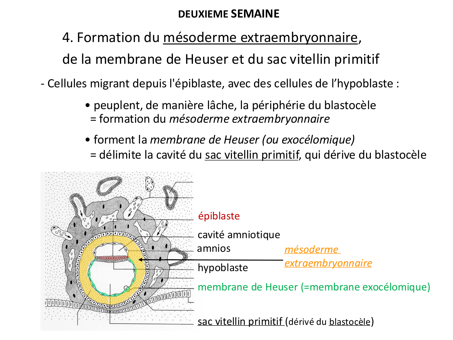 Développement — semaines 1 et 2 page 55