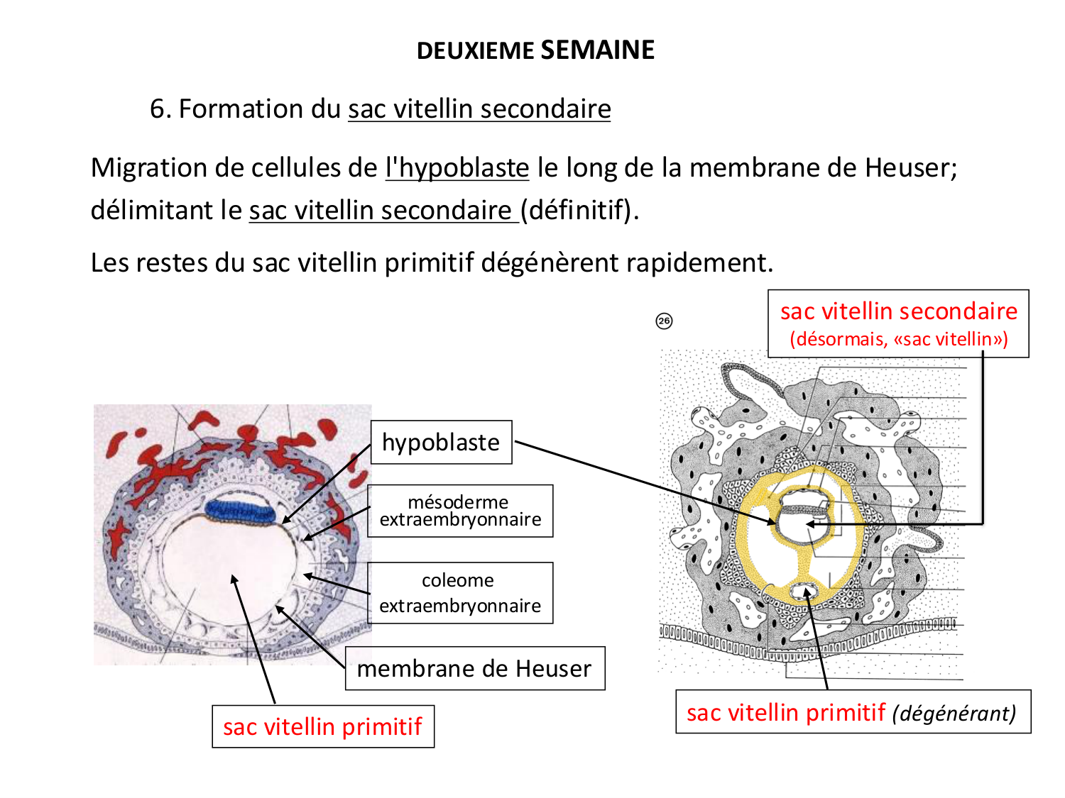 Développement — semaines 1 et 2 page 59