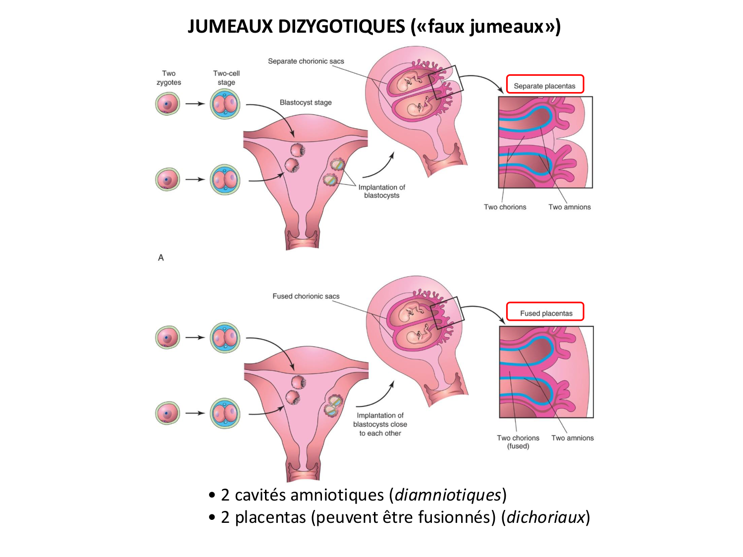 Développement — semaines 1 et 2 page 68