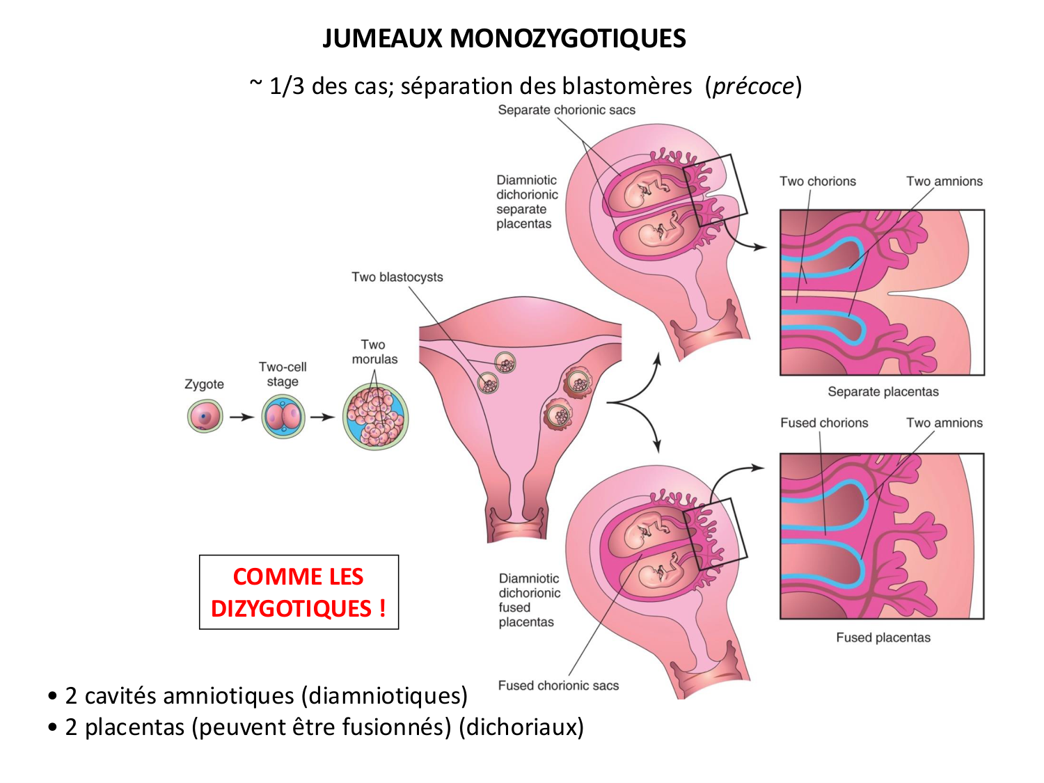 Développement — semaines 1 et 2 page 72