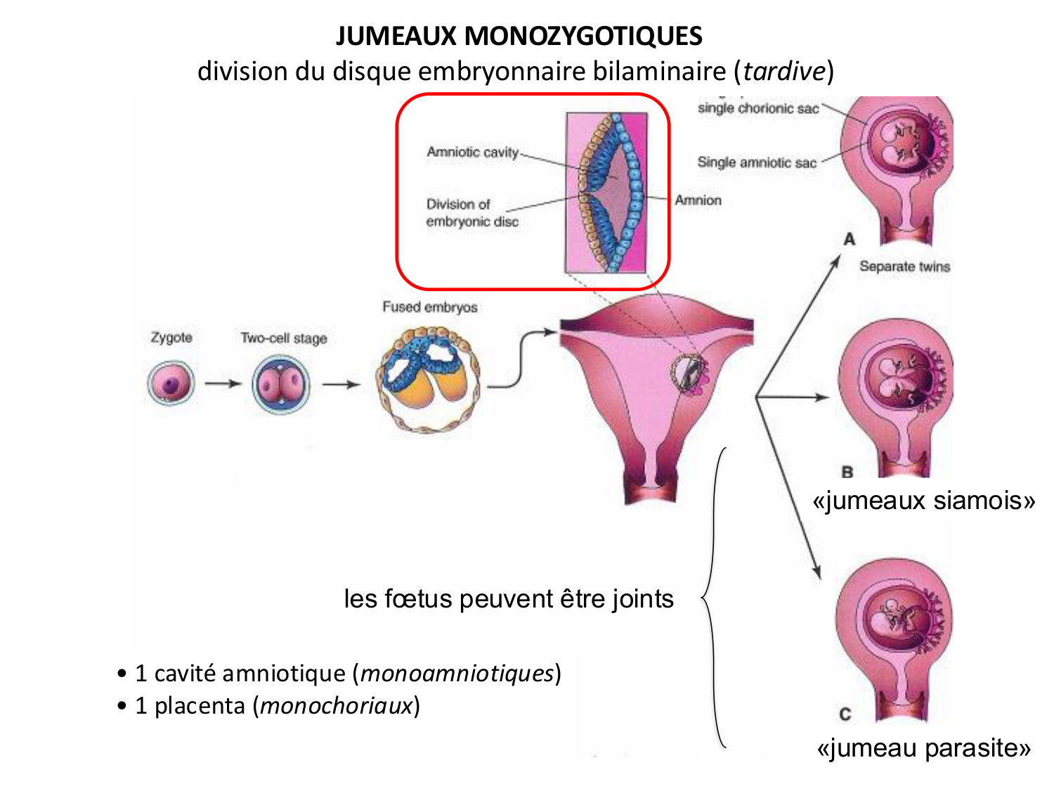 Développement — semaines 1 et 2 page 74