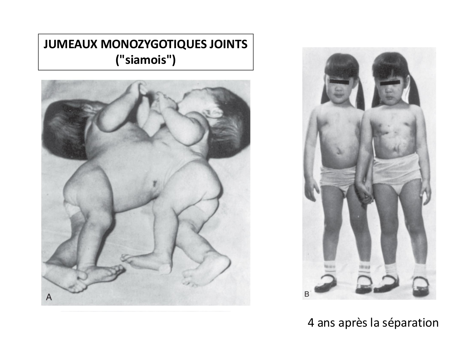 Développement — semaines 1 et 2 page 76