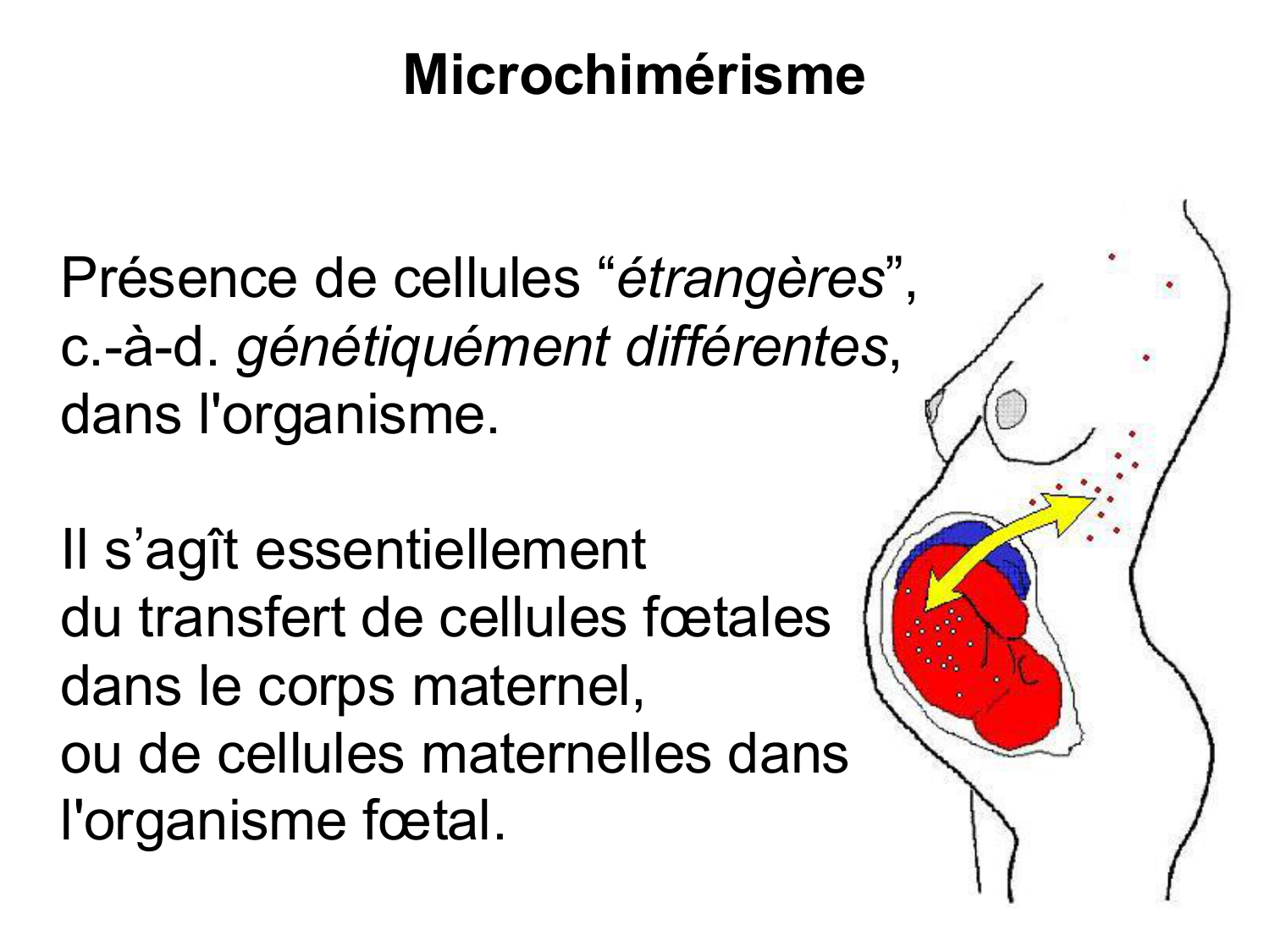 Développement — semaines 1 et 2 page 83