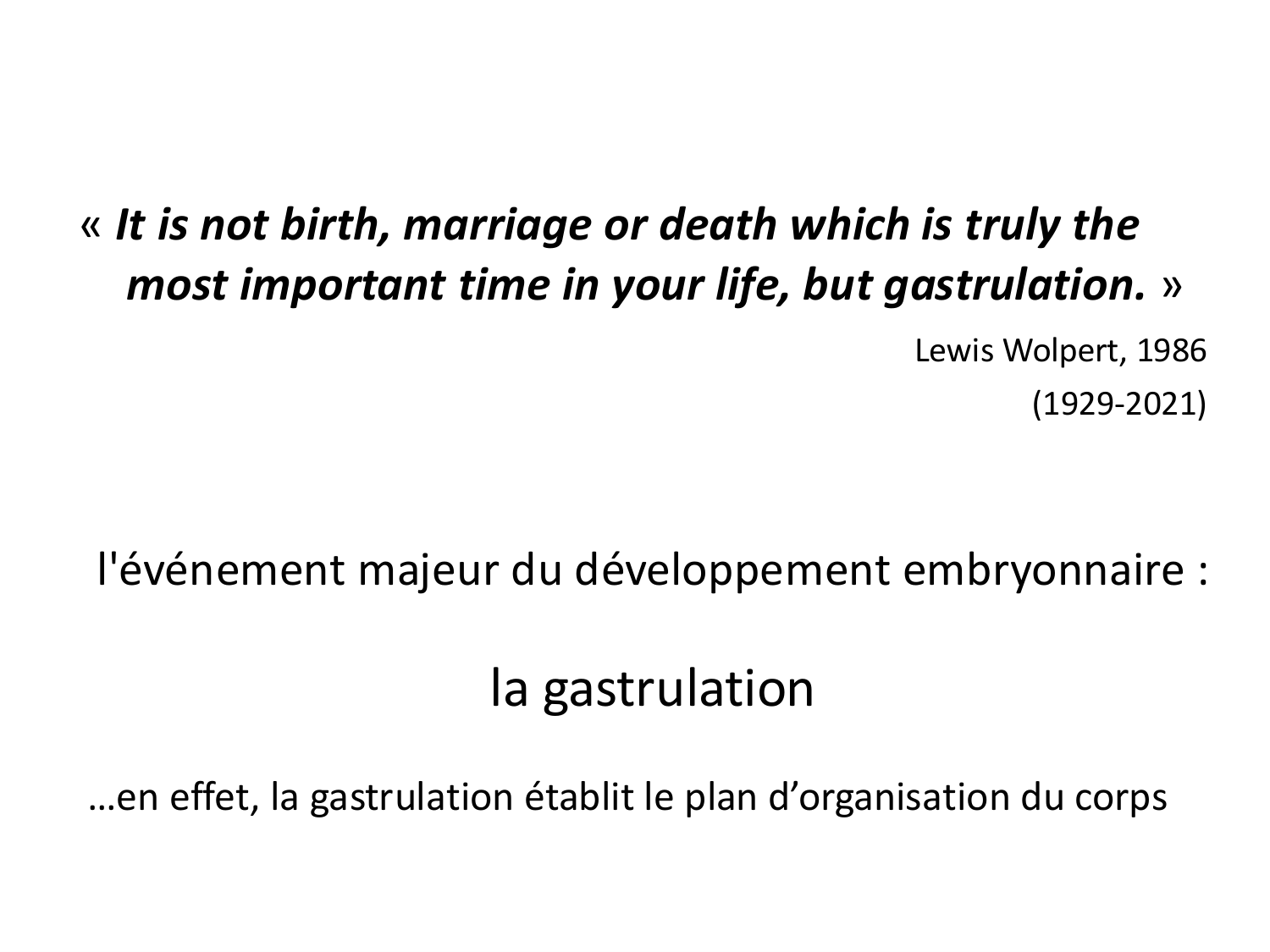 Développement — semaine 3 page 1