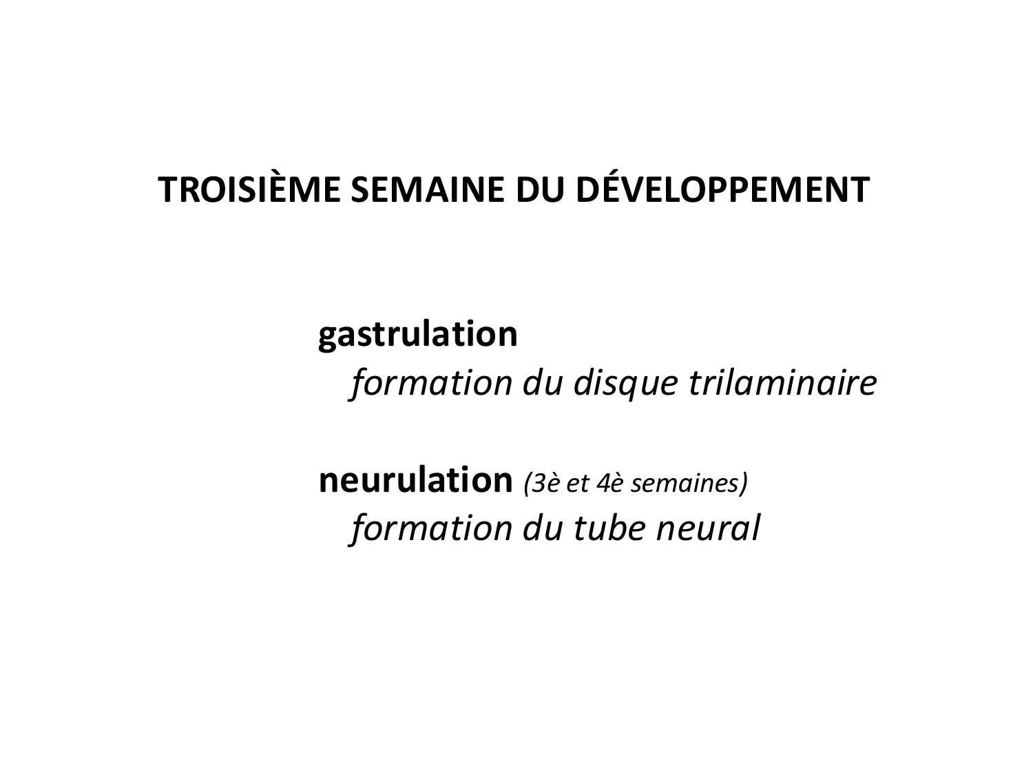 Développement — semaine 3 page 2