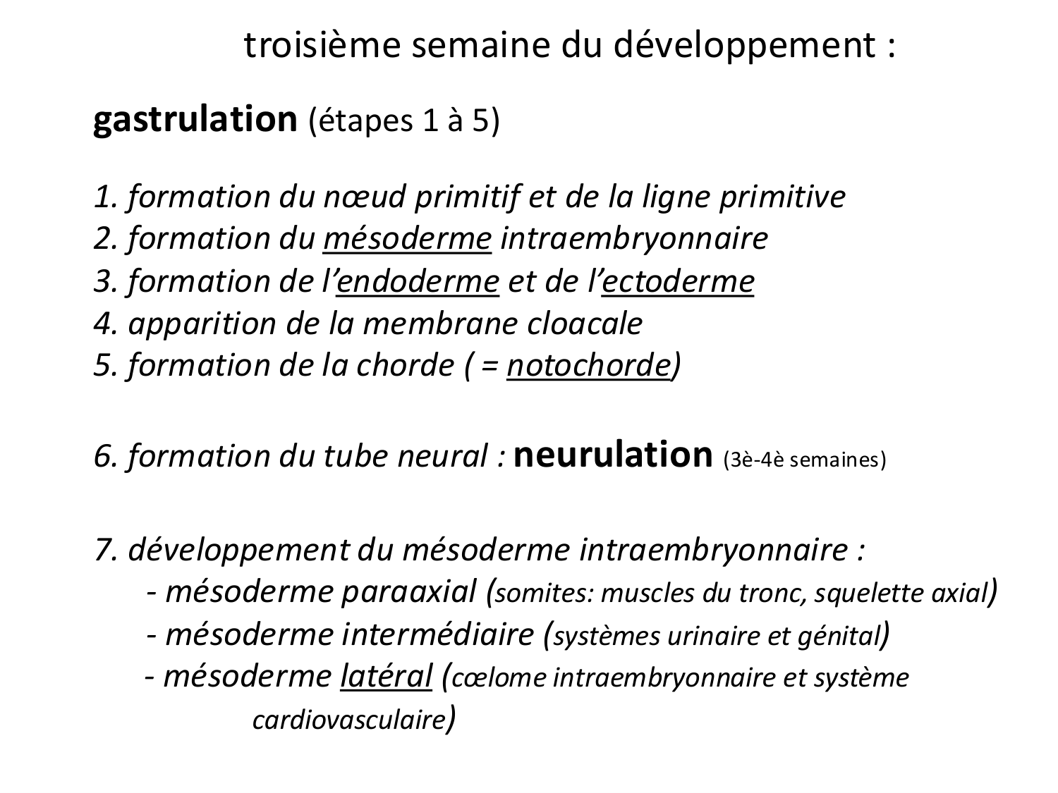 Développement — semaine 3 page 3