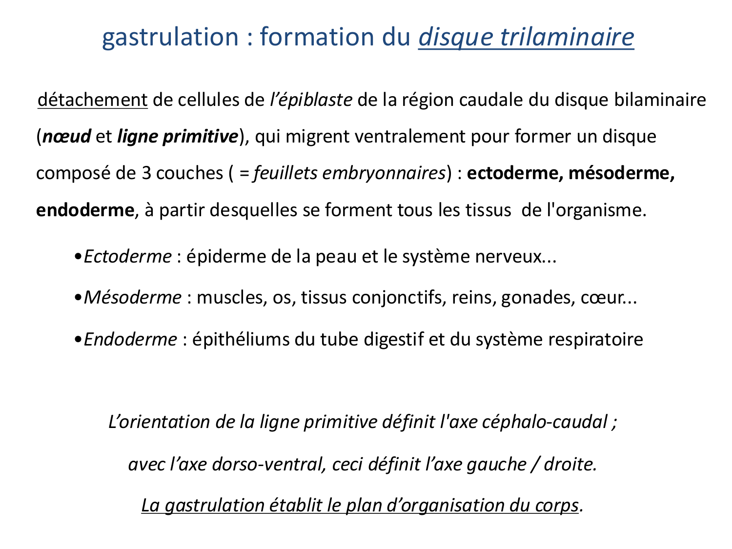 Développement — semaine 3 page 11