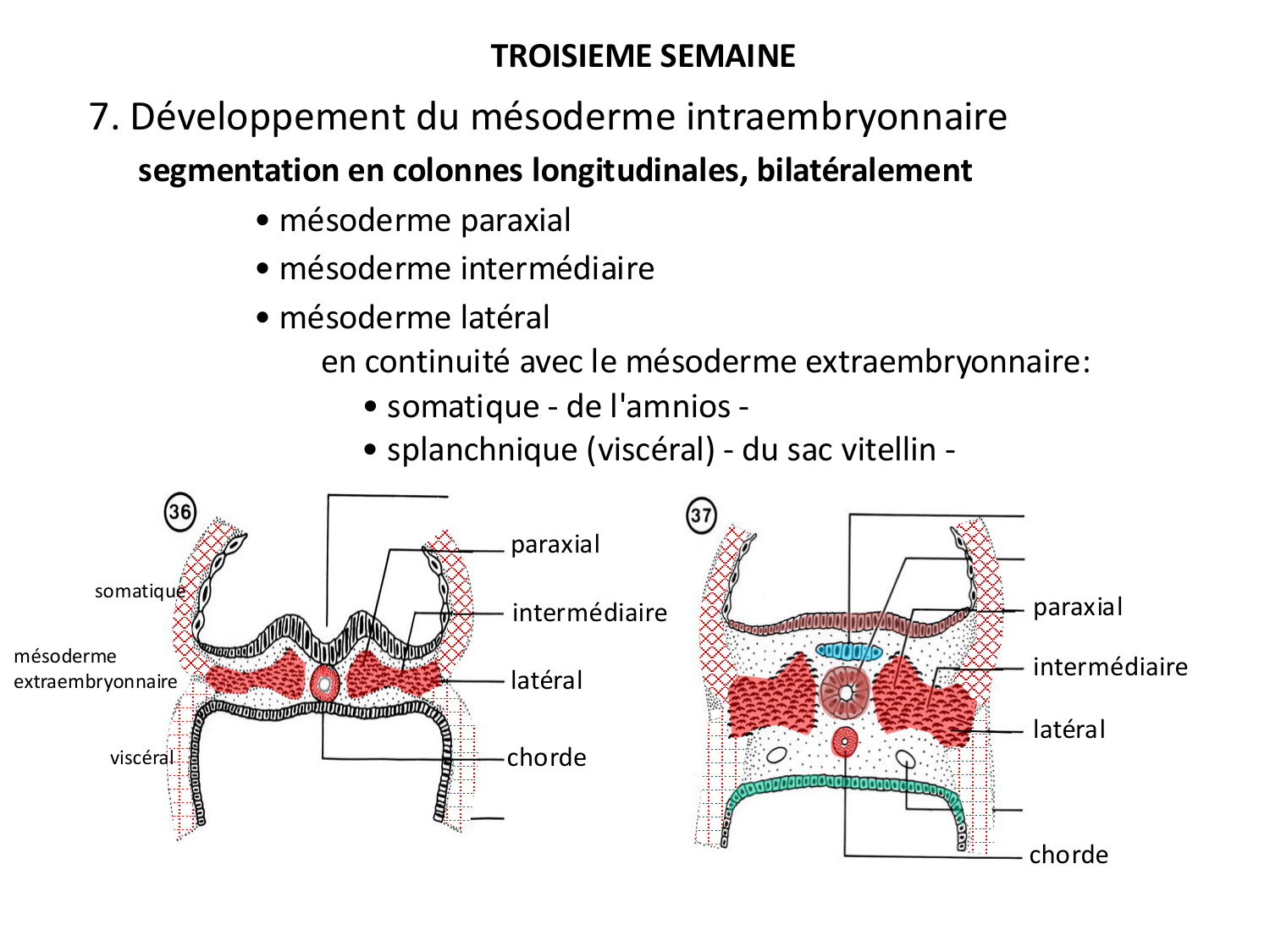 Développement — semaine 3 page 49