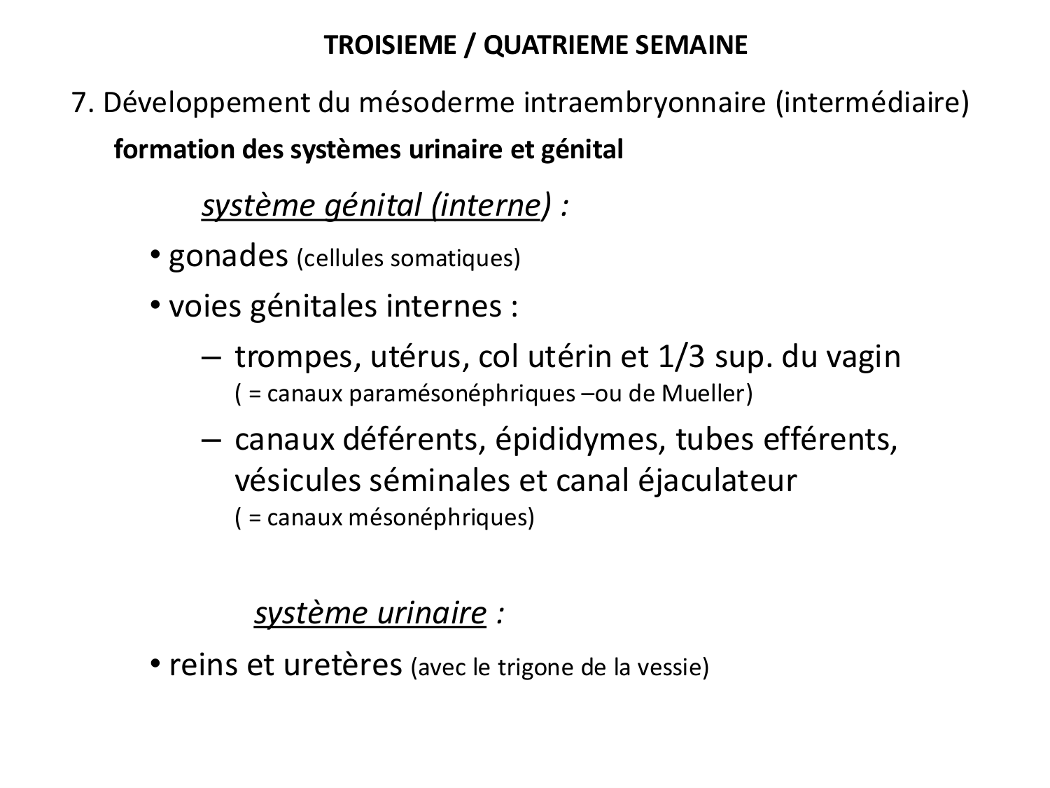 Développement — semaine 3 page 59
