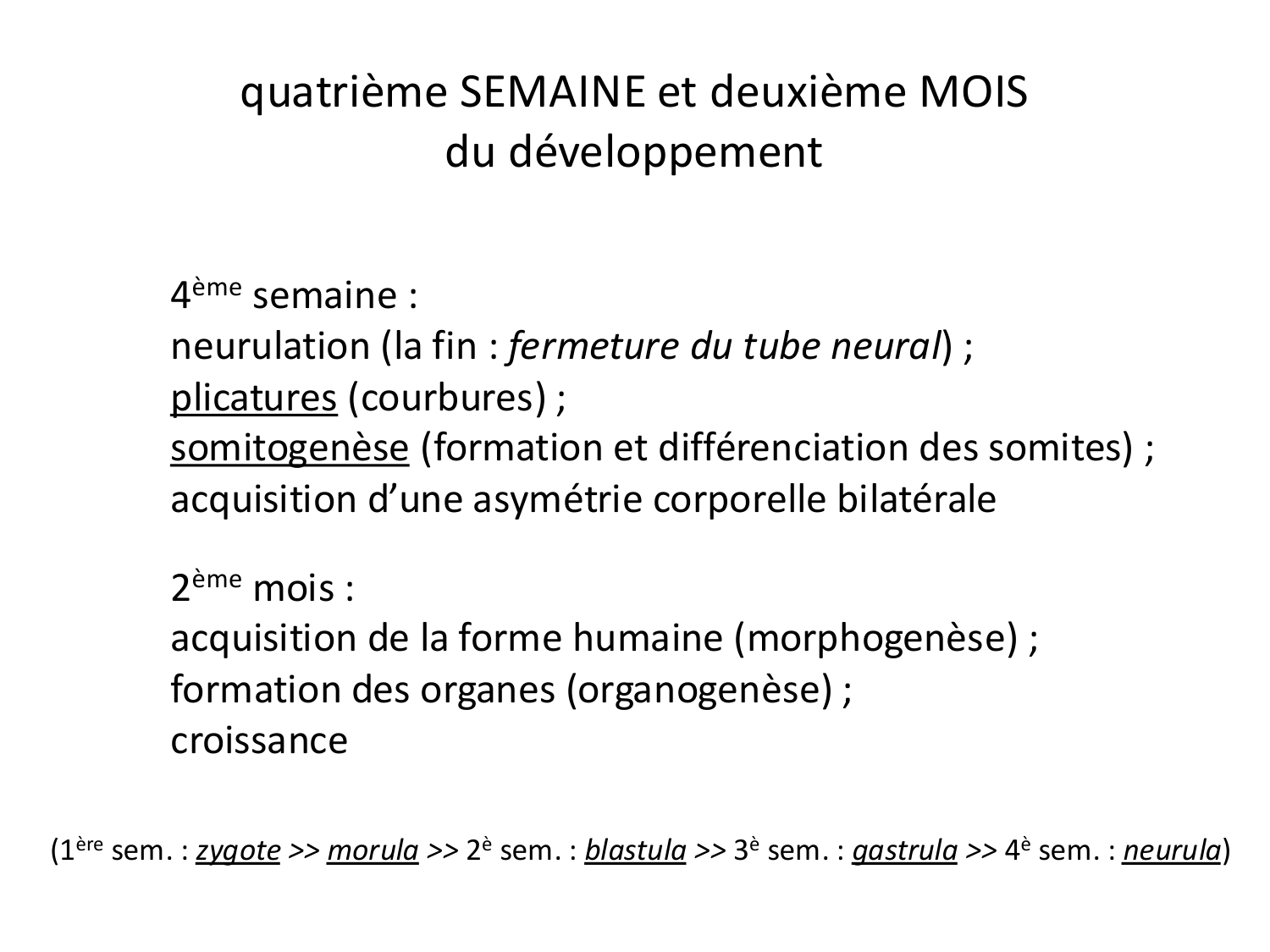Développement — semaine 4 et 2e mois page 1