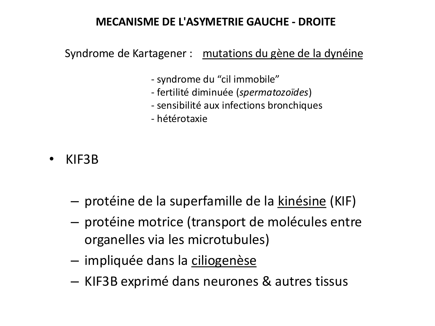 Développement — semaine 4 et 2e mois page 39