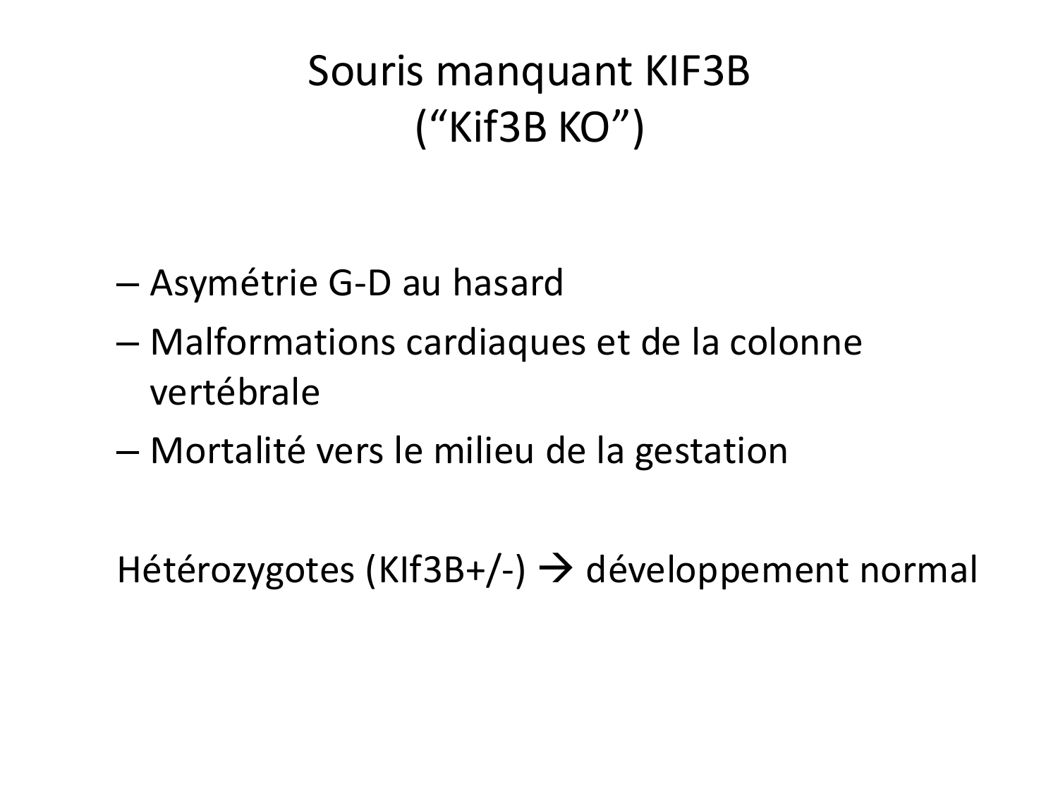 Développement — semaine 4 et 2e mois page 40