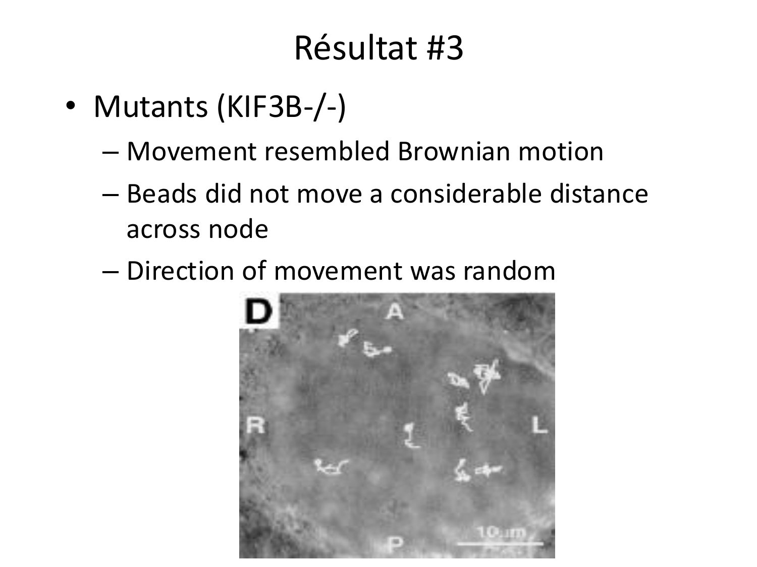 Développement — semaine 4 et 2e mois page 44