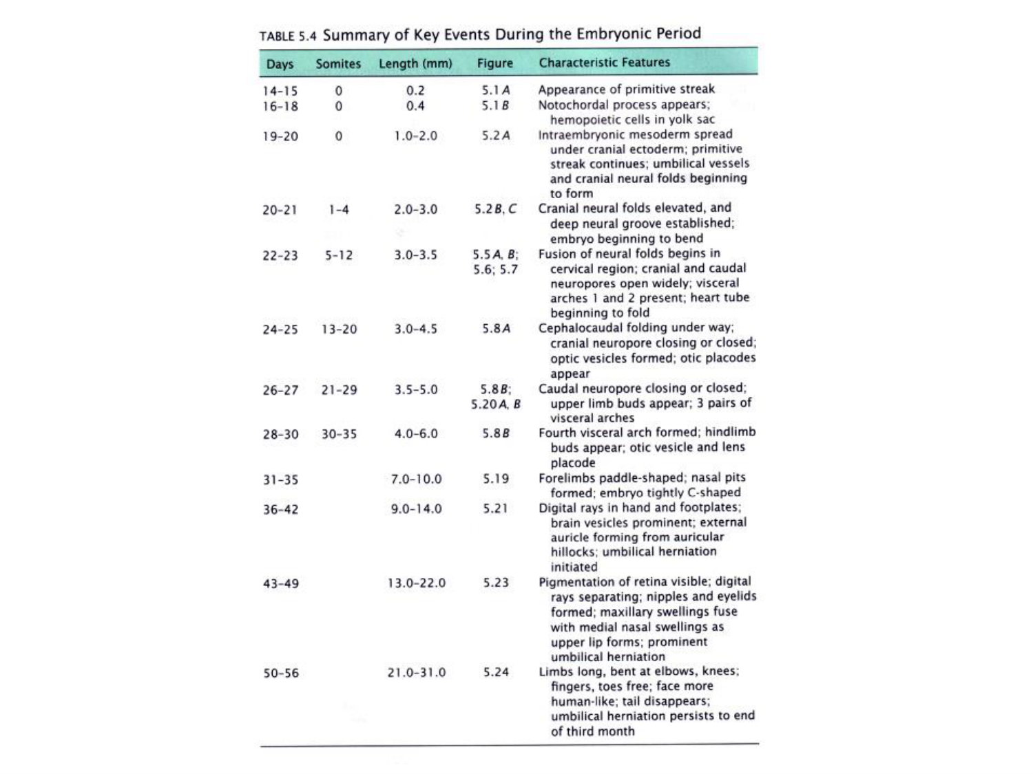 Développement — semaine 4 et 2e mois page 87