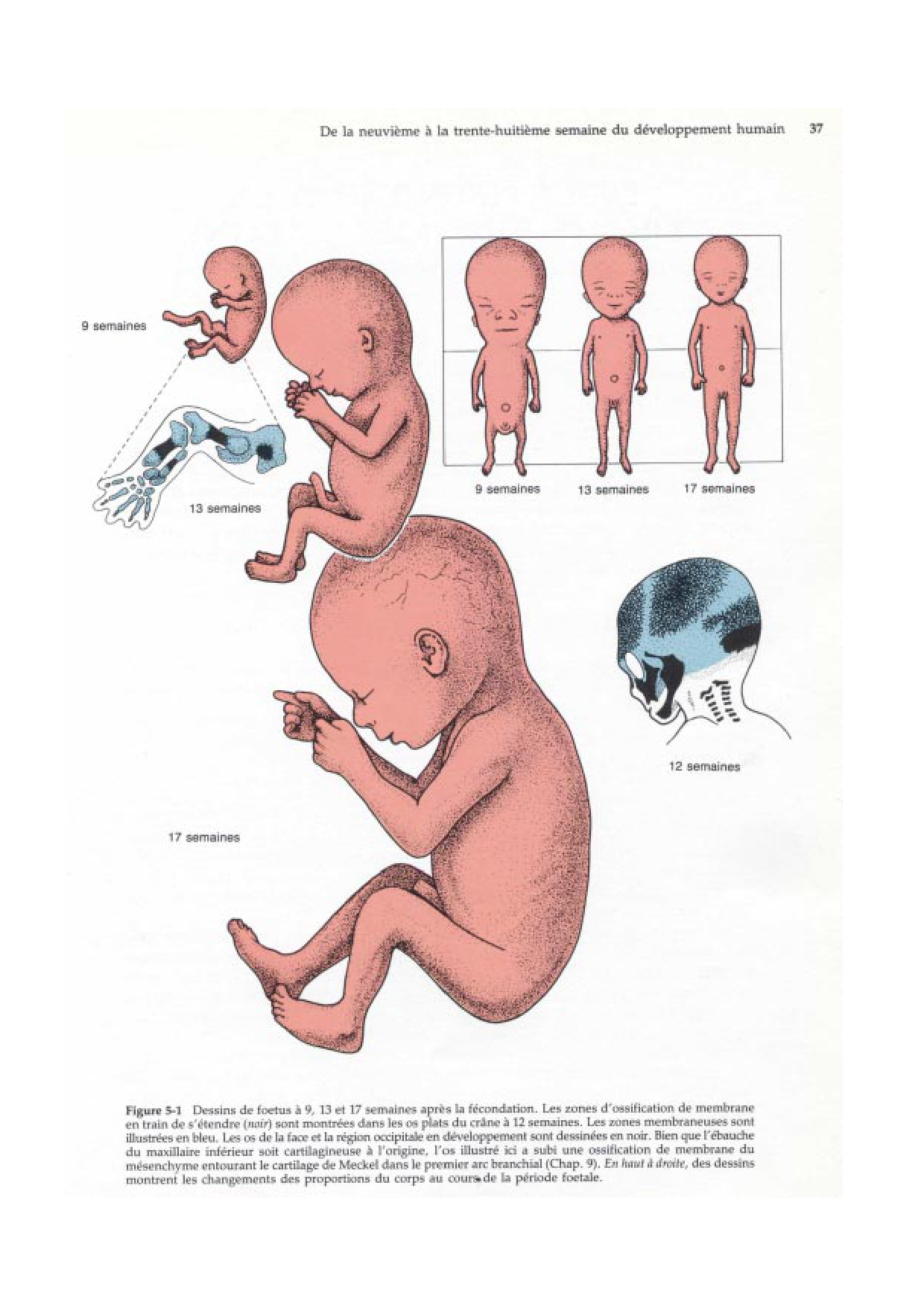 Semaine 9 a 38 page 2