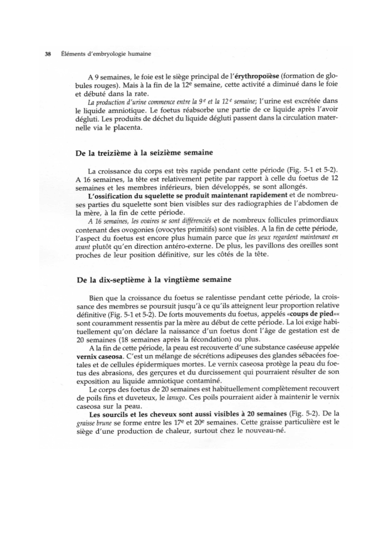 Semaine 9 a 38 page 3