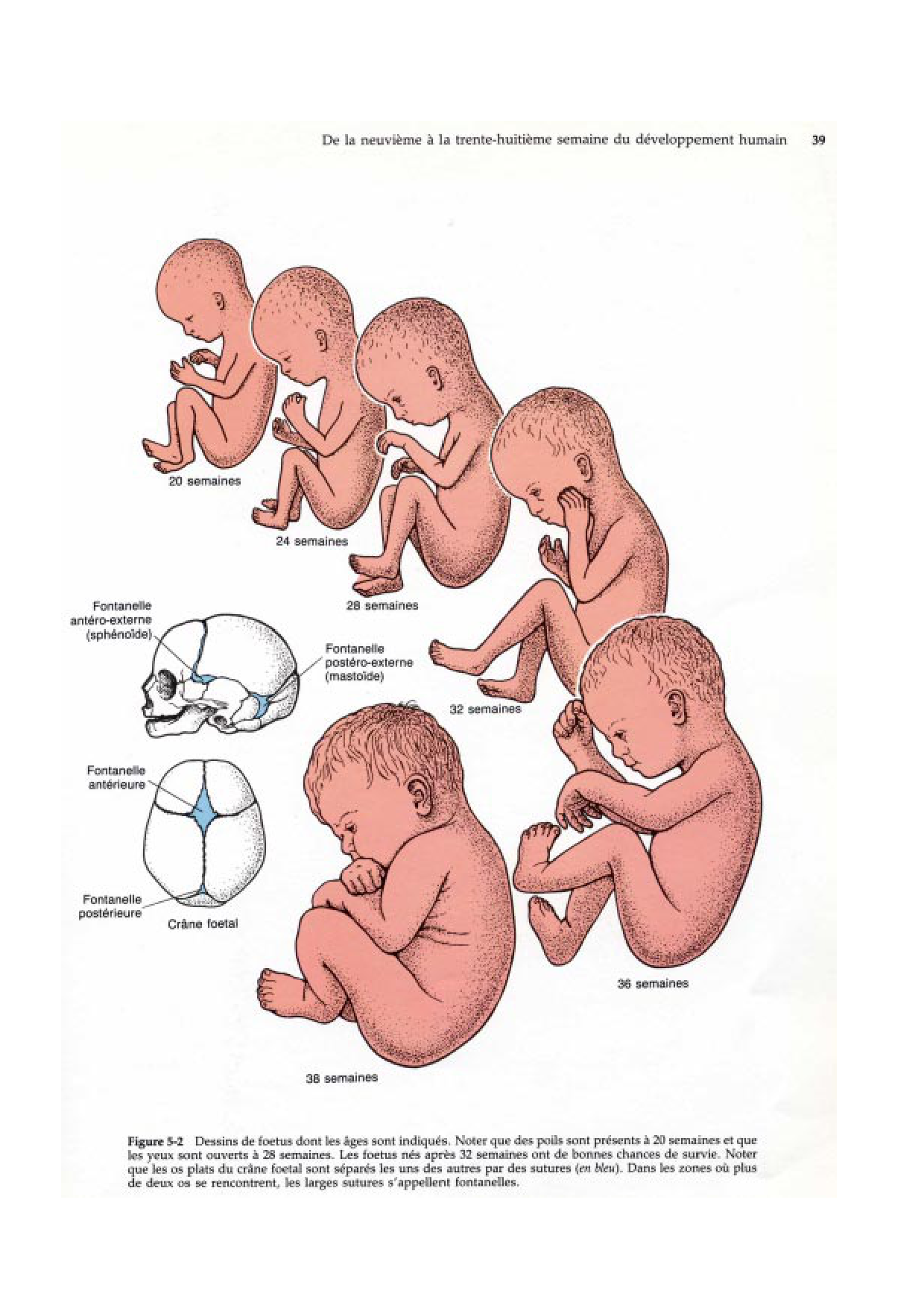 Semaine 9 a 38 page 4