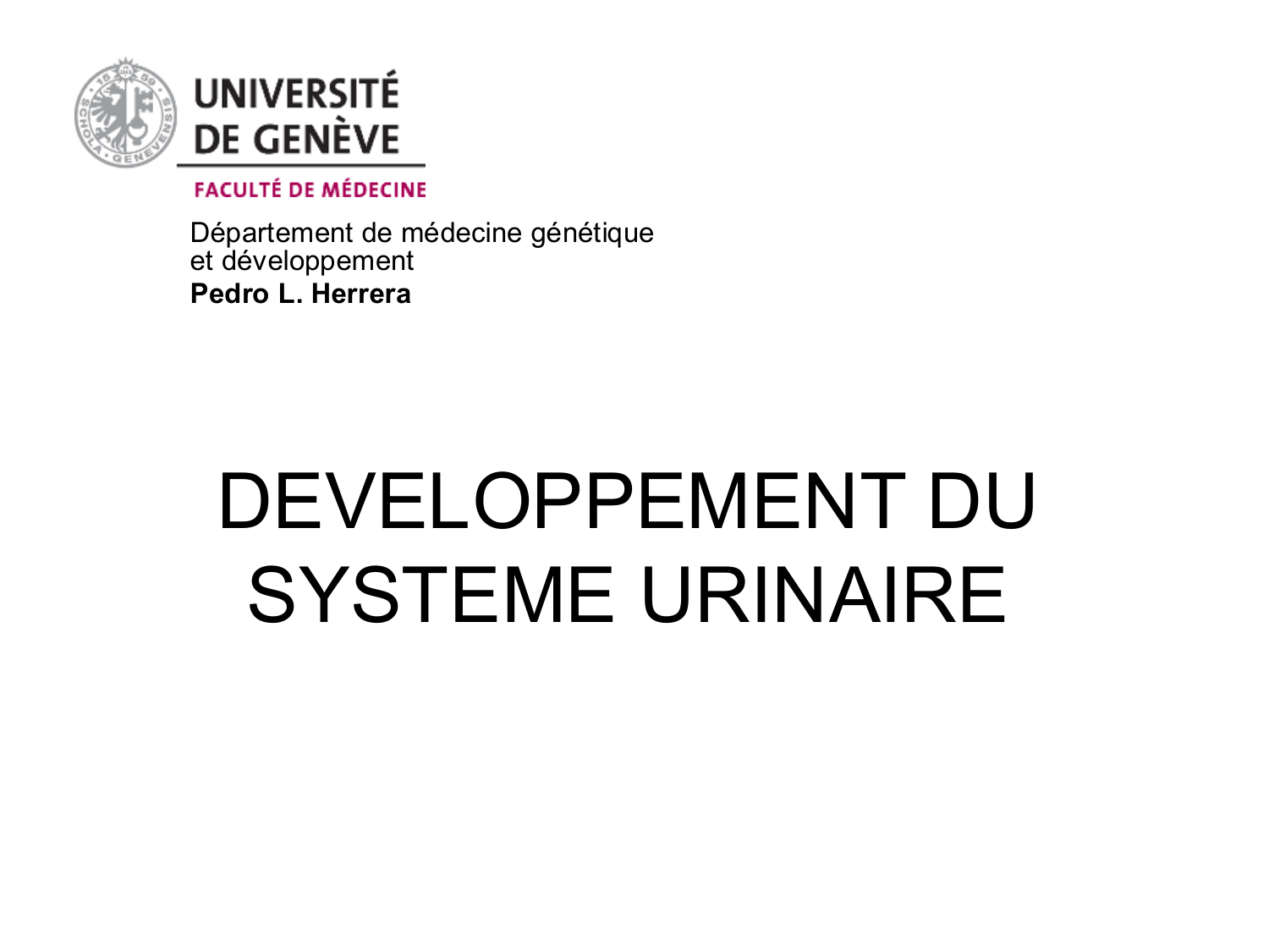 Développement du système urinaire page 1