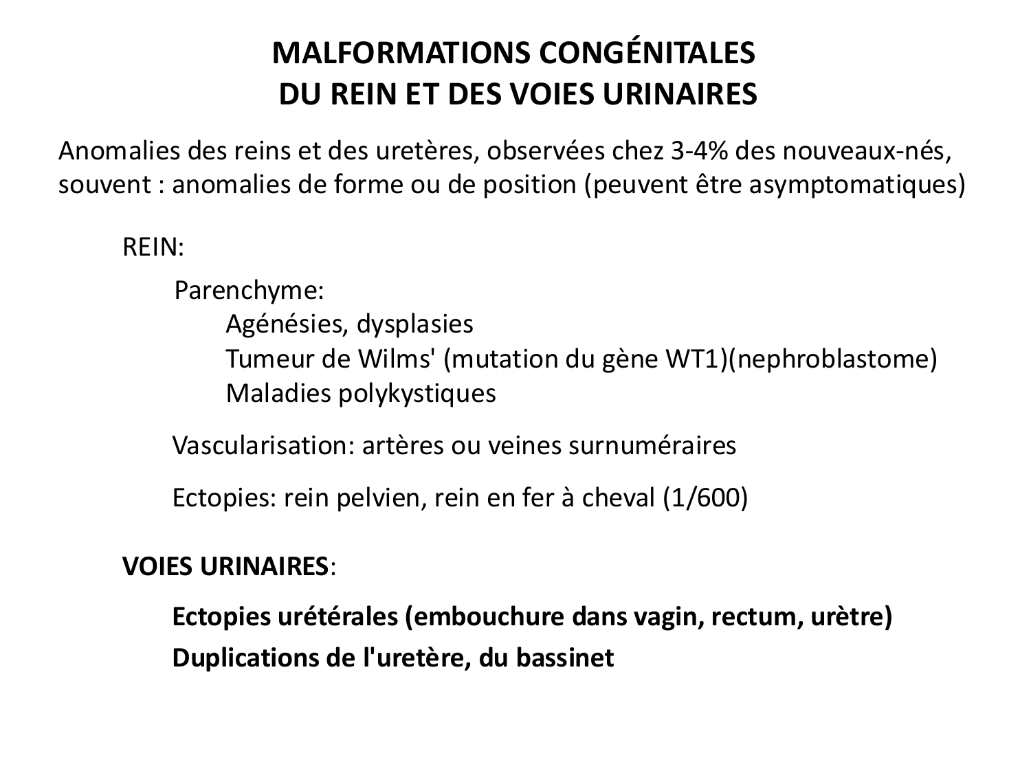 Développement du système urinaire page 65
