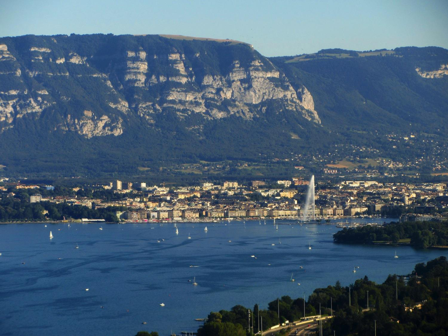 Développement du système urinaire page 73