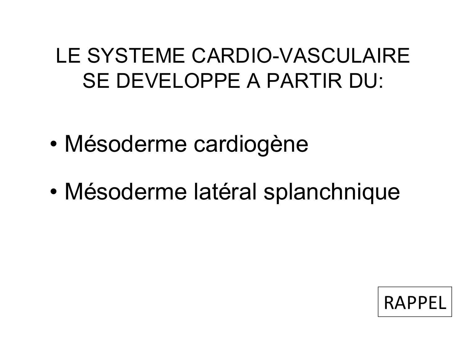 Développement du système cardiovasculaire page 4