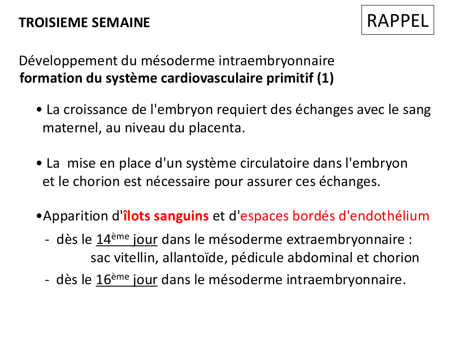 Développement du système cardiovasculaire page 8