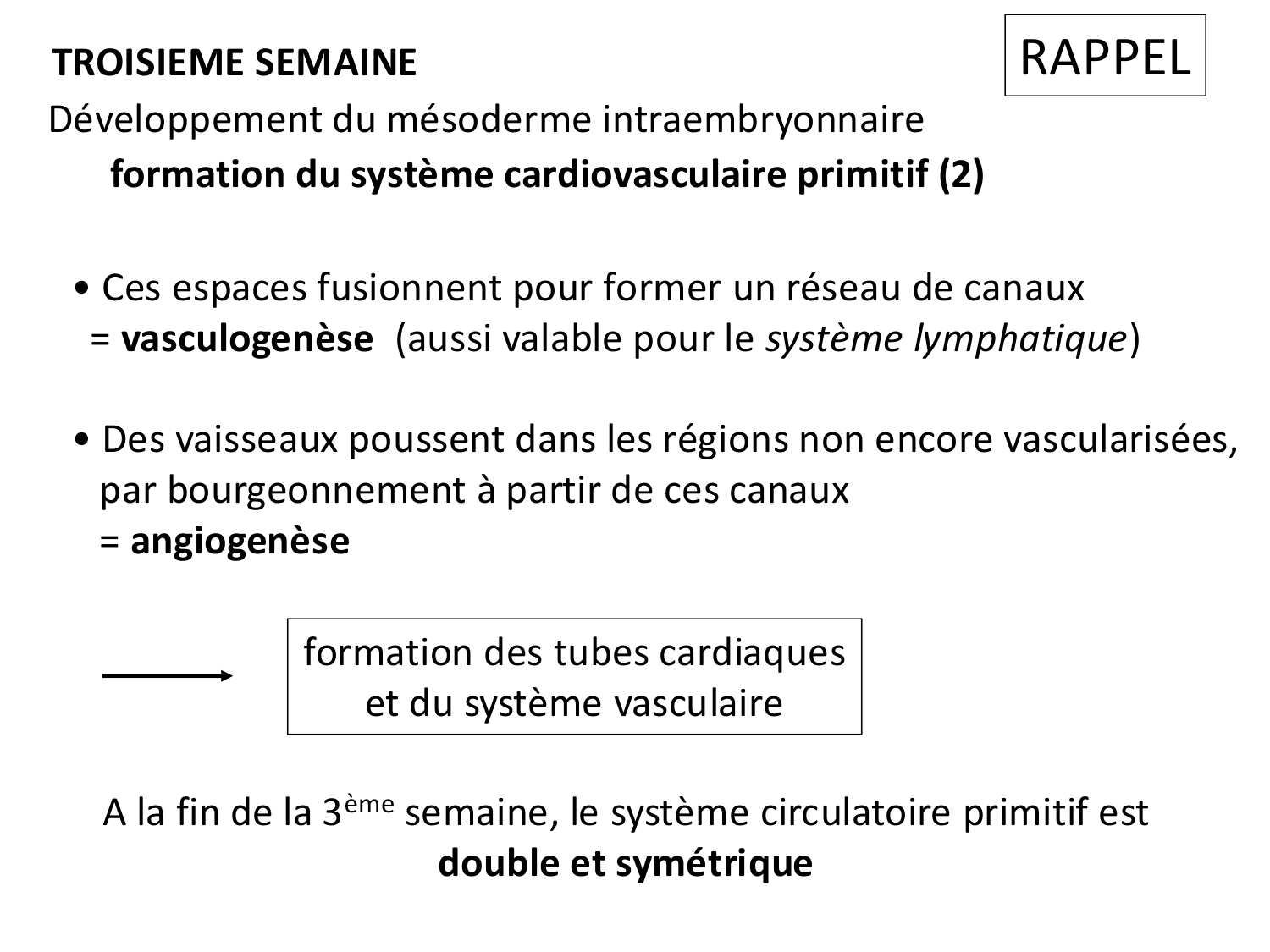 Développement du système cardiovasculaire page 11