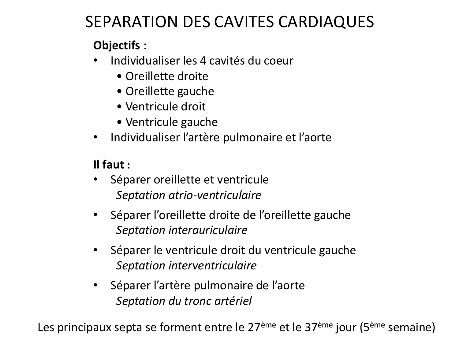 Développement du système cardiovasculaire page 33
