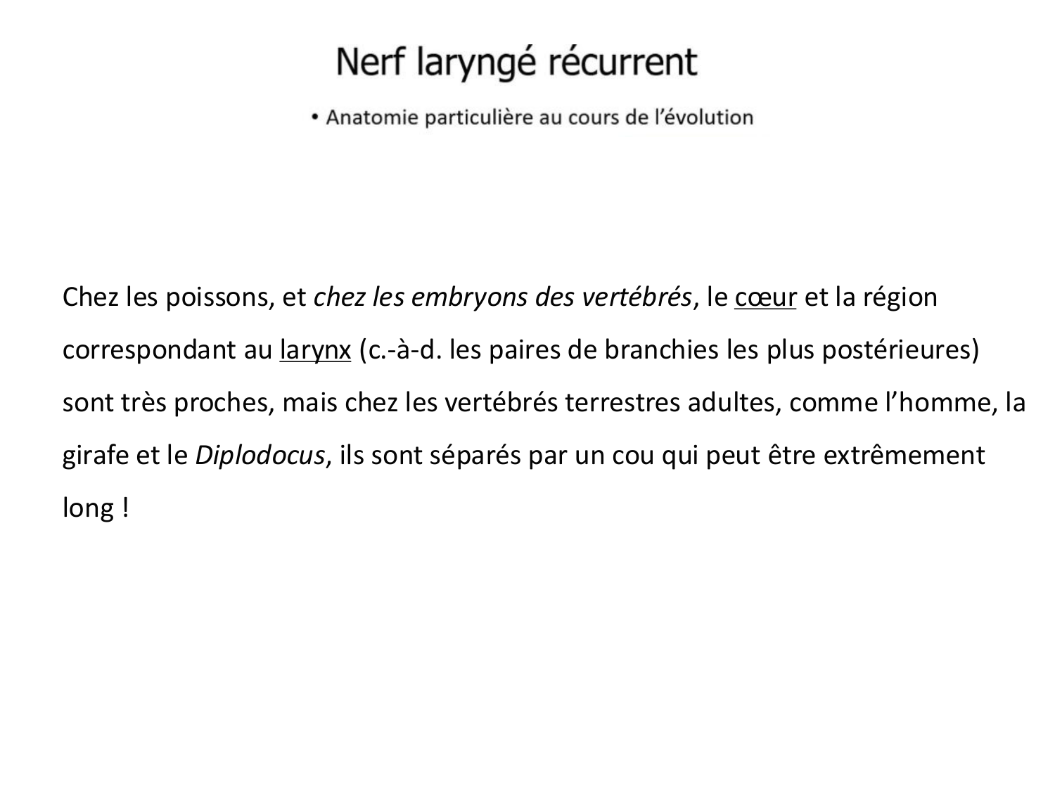 Développement du système cardiovasculaire page 68