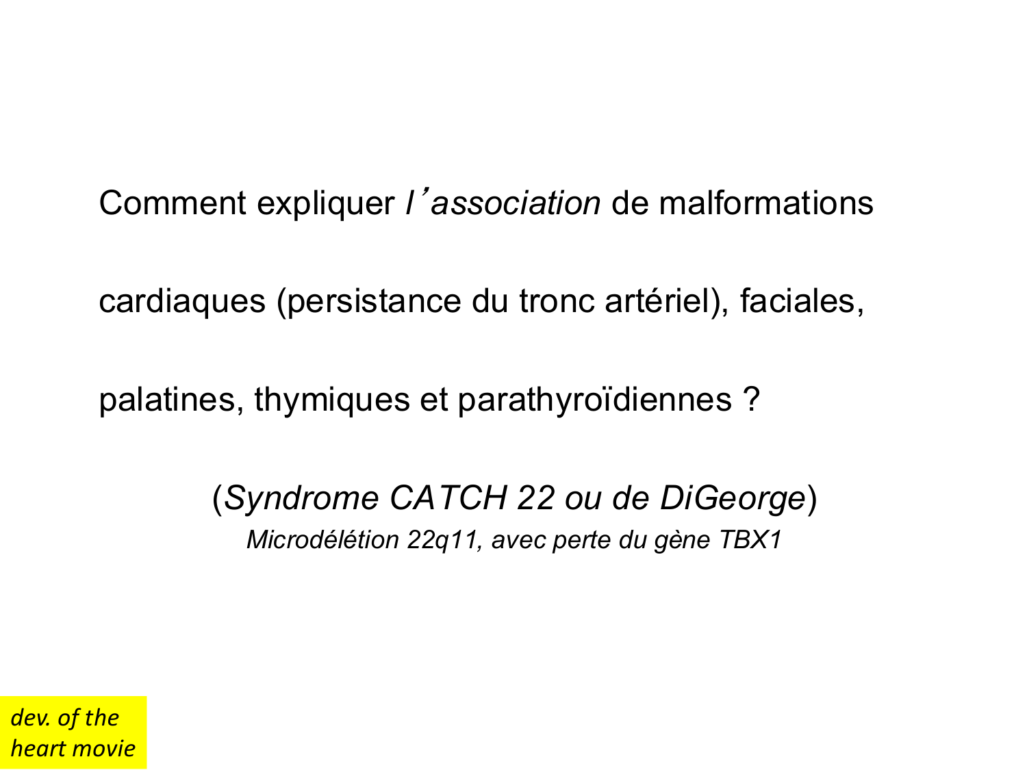 Développement du système cardiovasculaire page 81