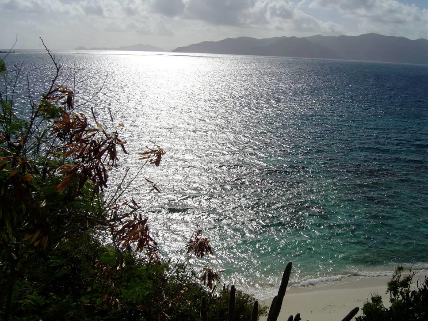 Développement du système cardiovasculaire page 82