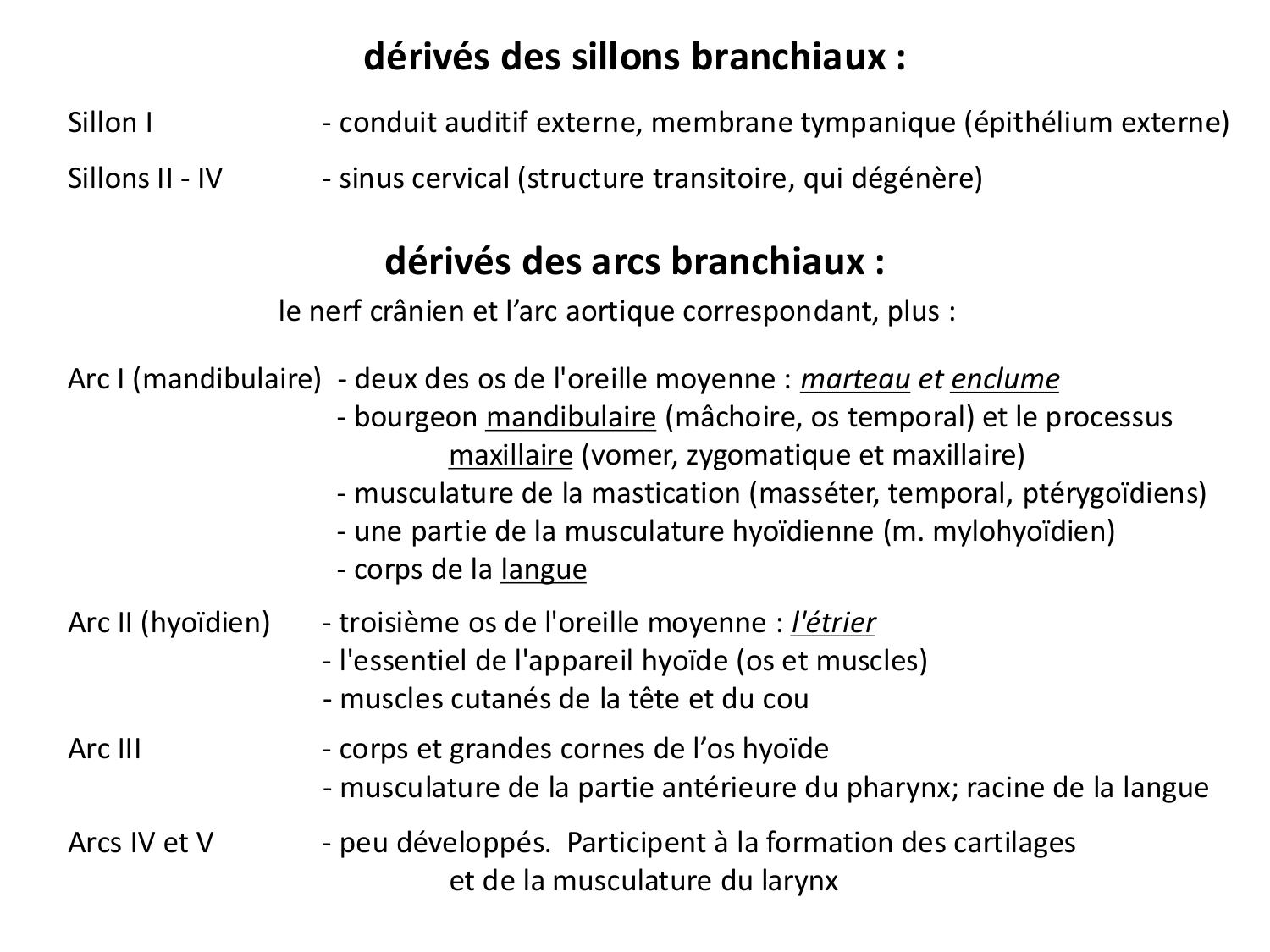 Face, arcs branchiaux et système respiratoire page 42