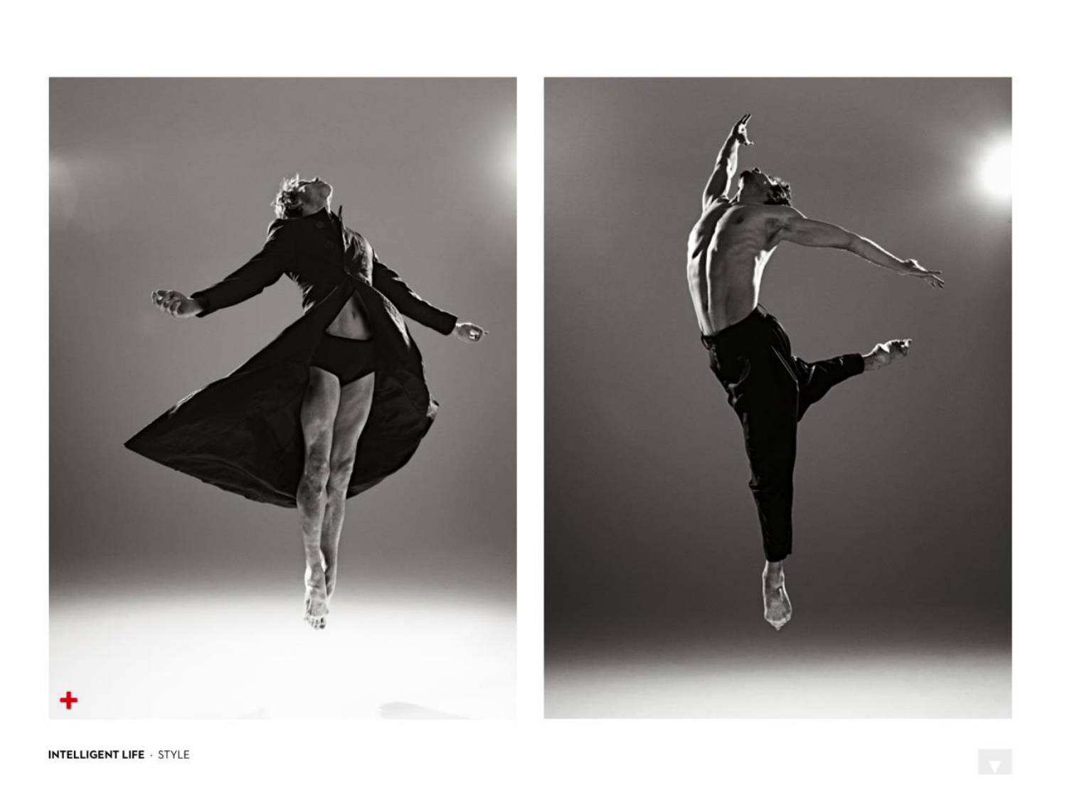 Face, arcs branchiaux et système respiratoire page 84